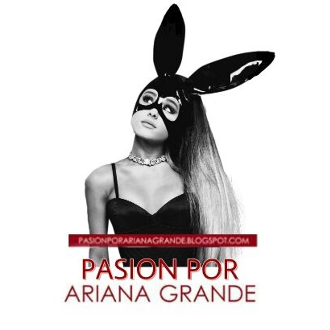 Pasión Por Ariana Grande