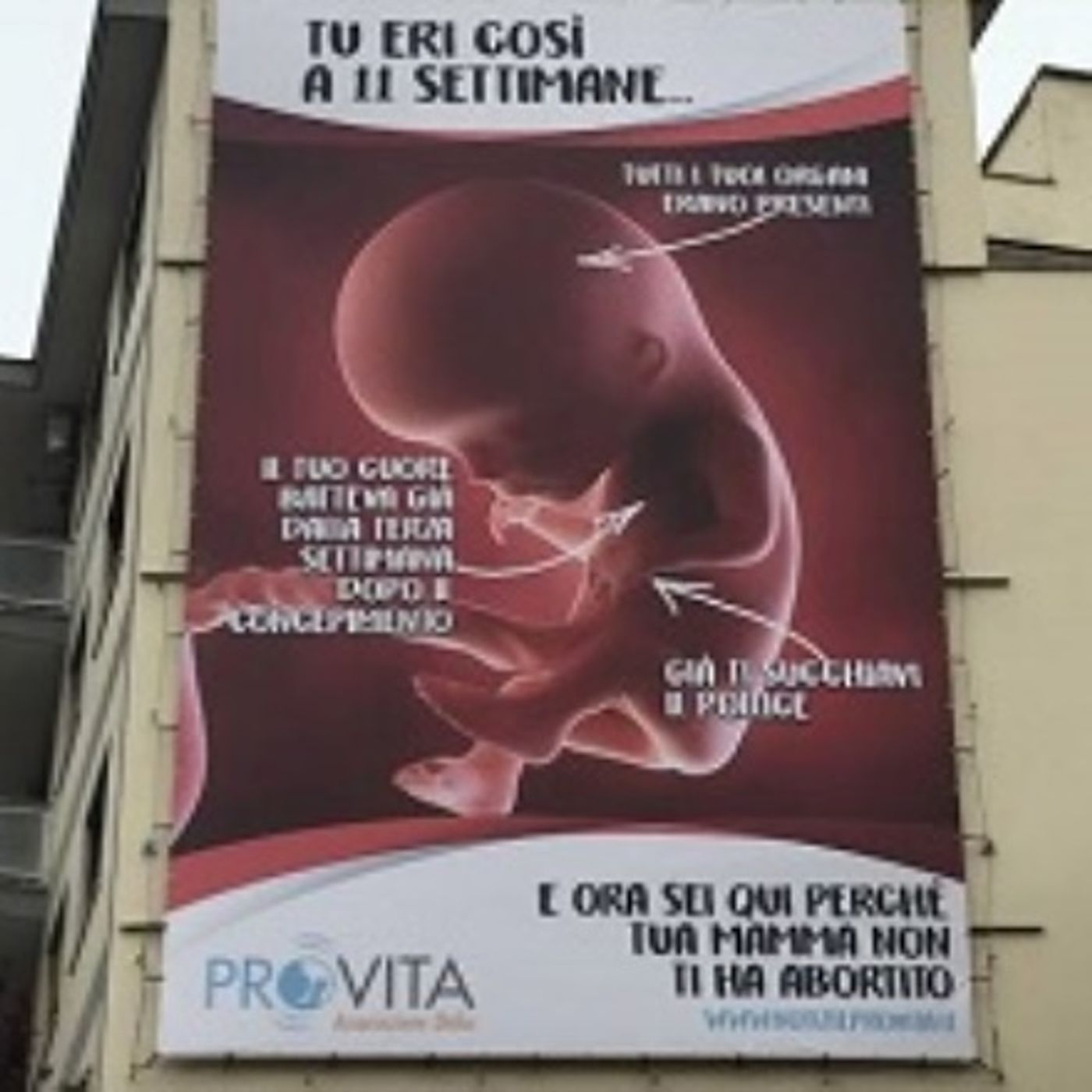 Aborto - BastaBugie.it