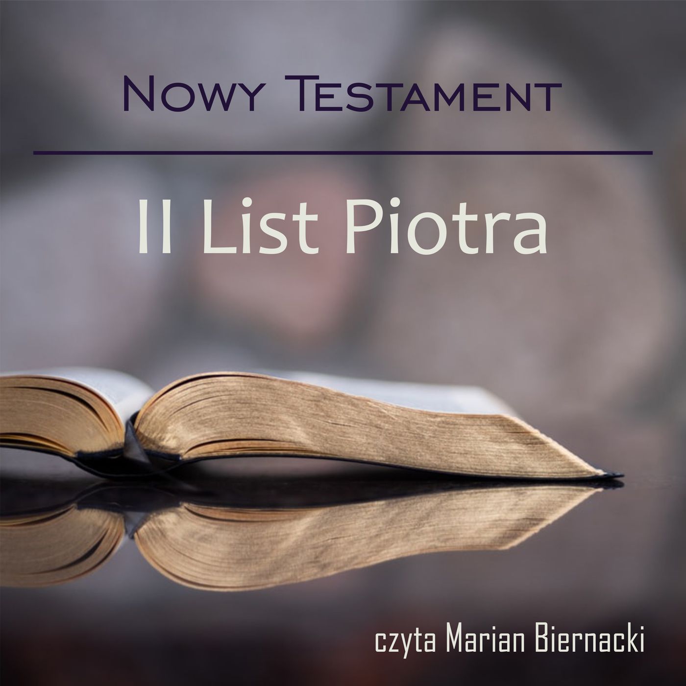 Biblia Audio Nowy Testament