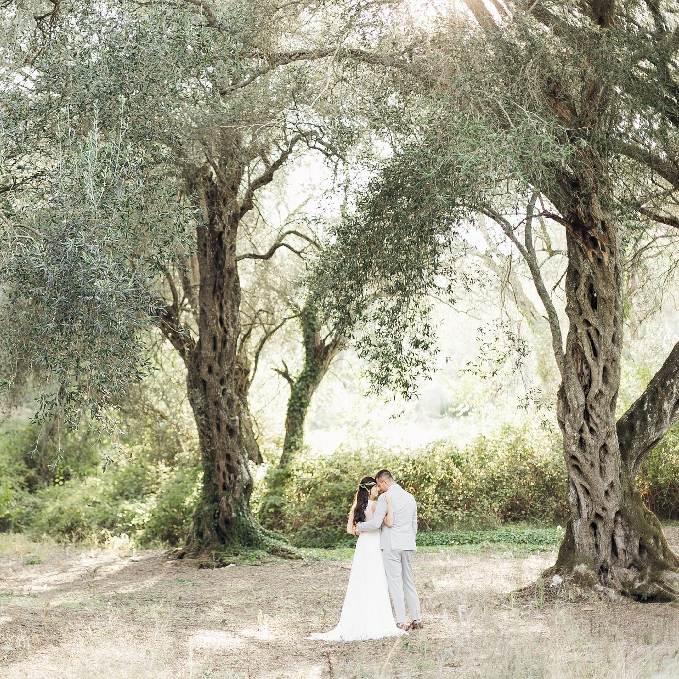 Il principe e la strega