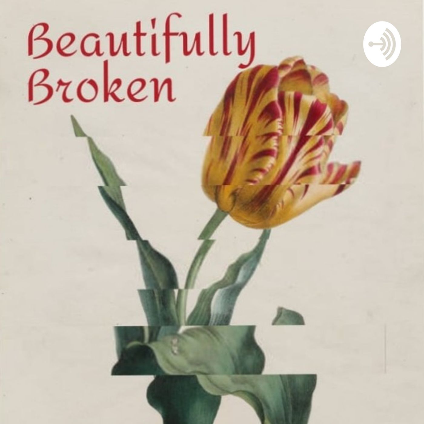 Beautifully Broken.