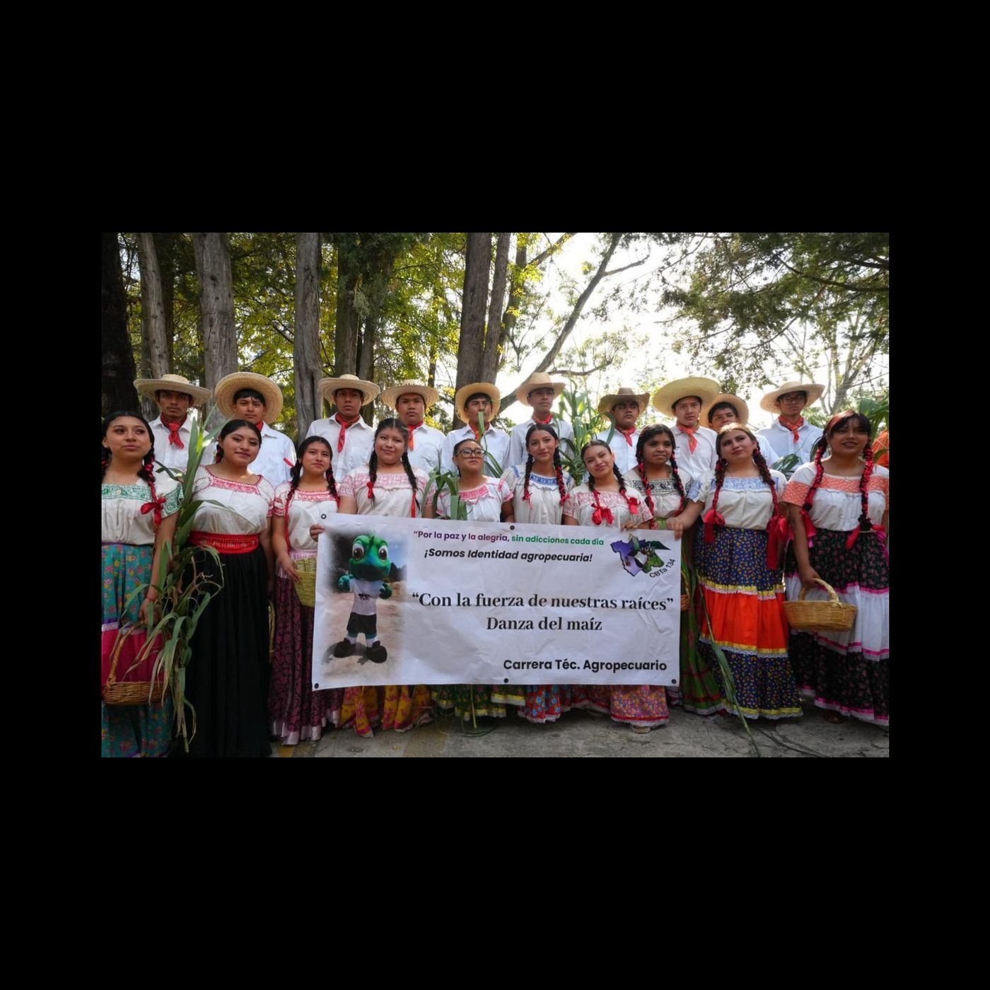 🎓📚 IMPULSA TLAXCALA MODELO NACIONAL DE BACHILLERATO UNIFICADO 🇲🇽✨