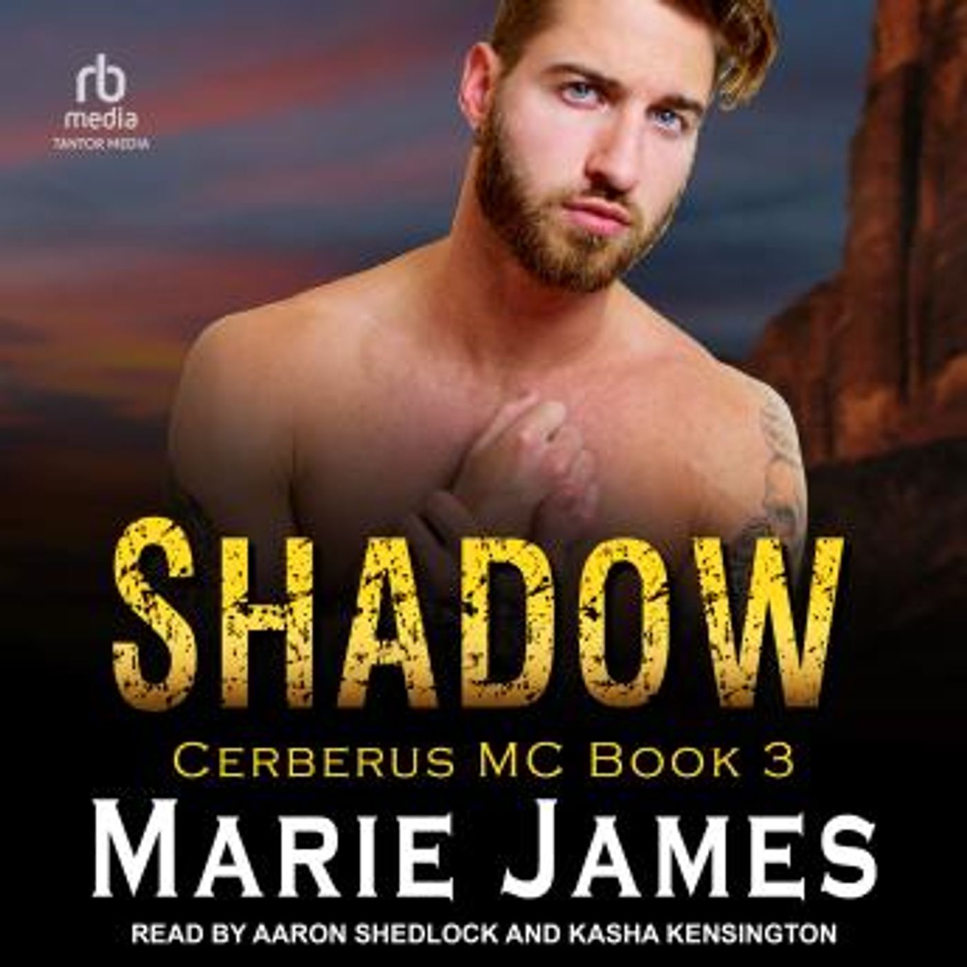 Download Best Full-Length Audiobooks in Romance, Modern