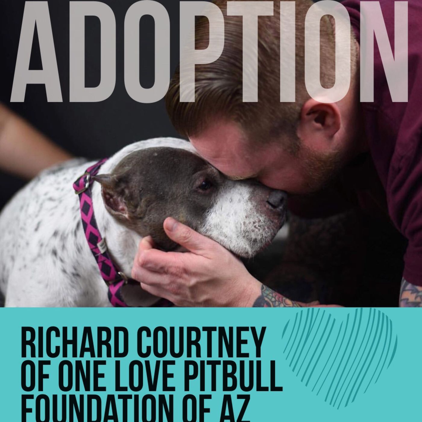 Richard Courtney talks Adoption: Expectations & Advice
