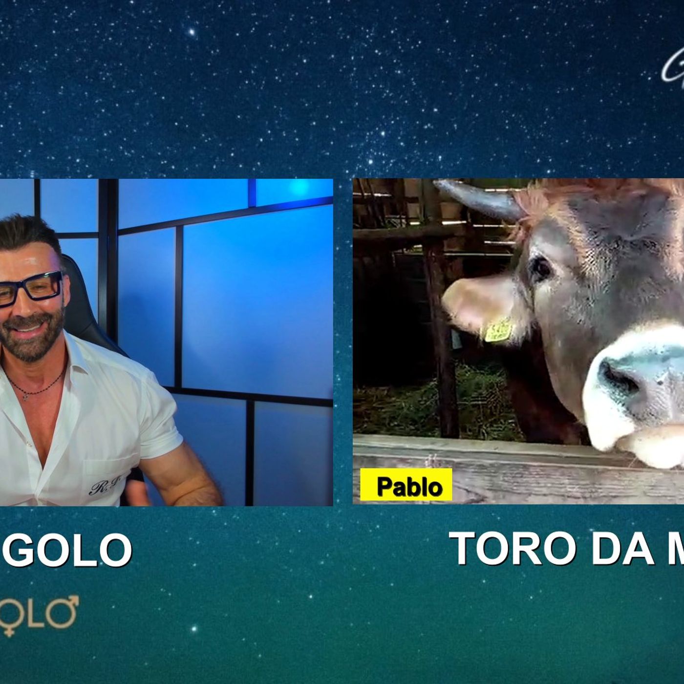 Interviste e dirette di Roy Gigolo