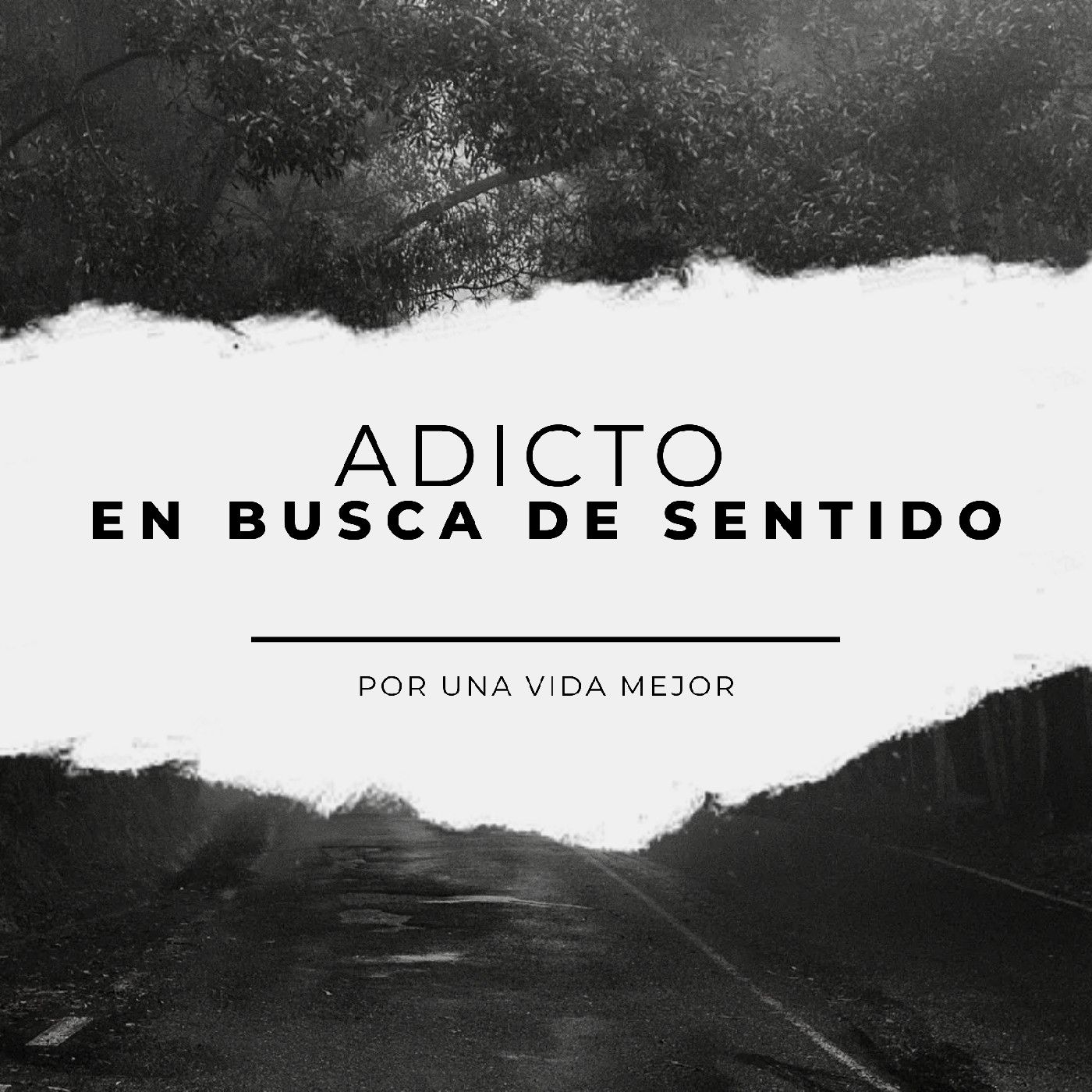 ADICTO En Busca De Sentido cover art