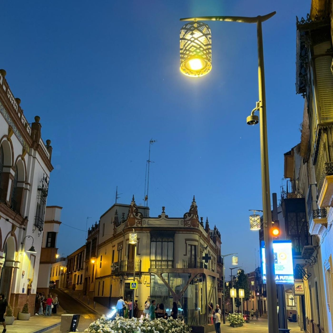 Reflexiones Sobre el Asfalto