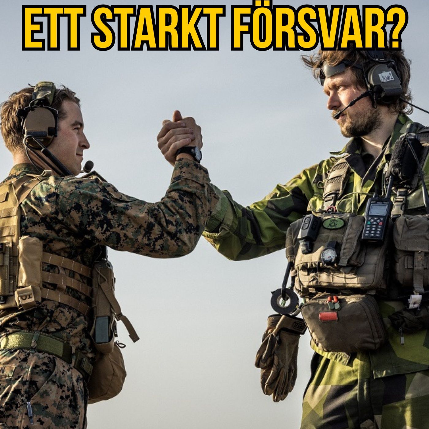 Ska Sverige och Europa ha ett starkt försvar? episode artwork