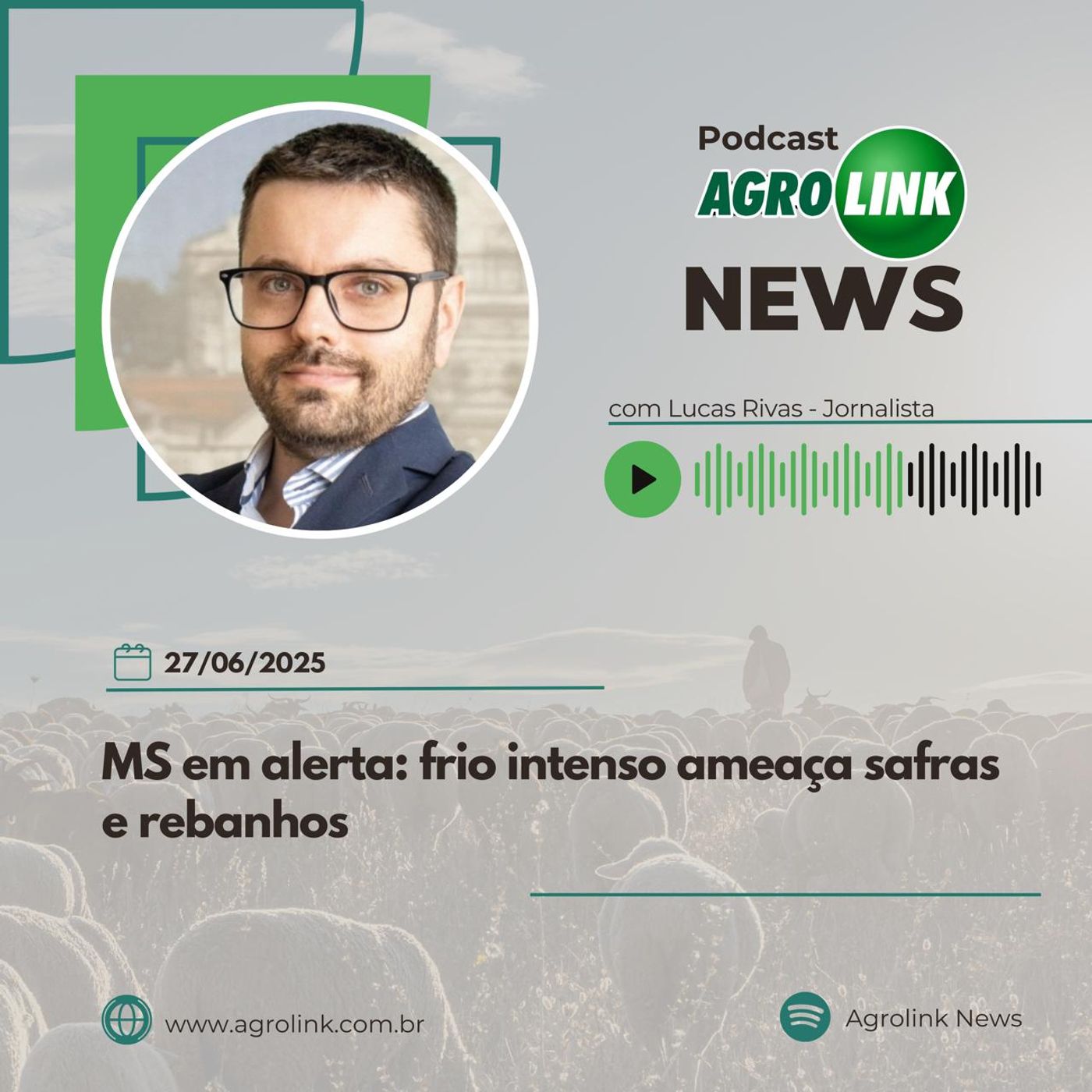 Exportações de bovinos vivos superam 111 mil cabeças em maio episode artwork