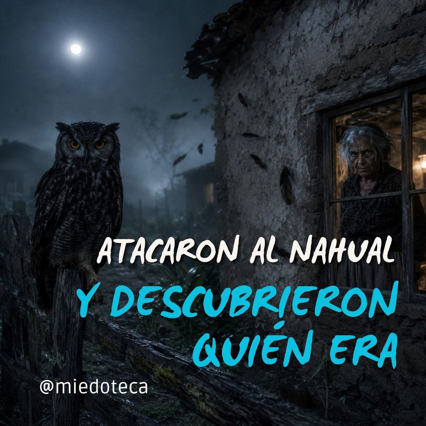 Hirieron A Una Lechuza… Al Día Siguiente, Una Anciana Perdió La Pierna | 3014 08 episode artwork