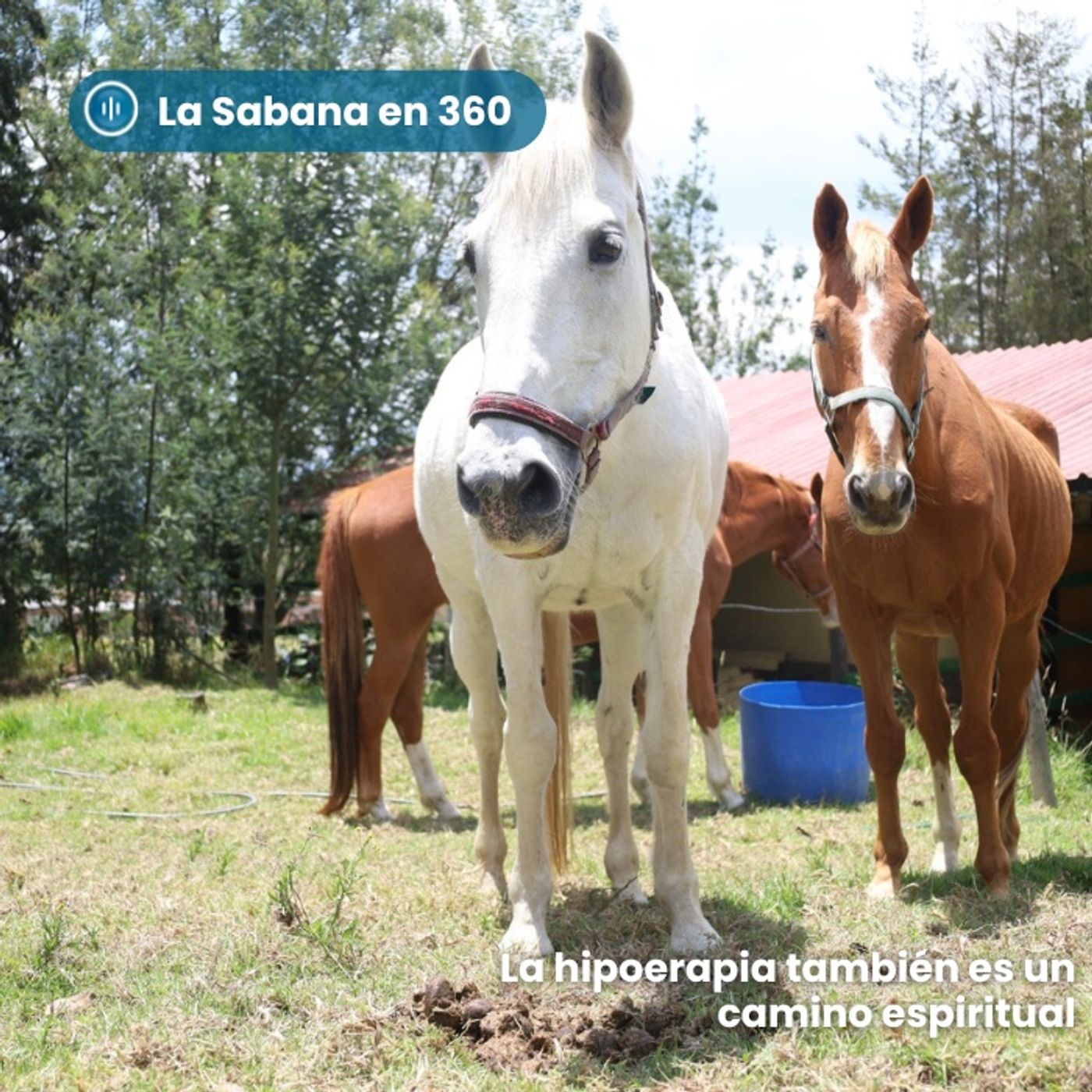 La Sabana en 360