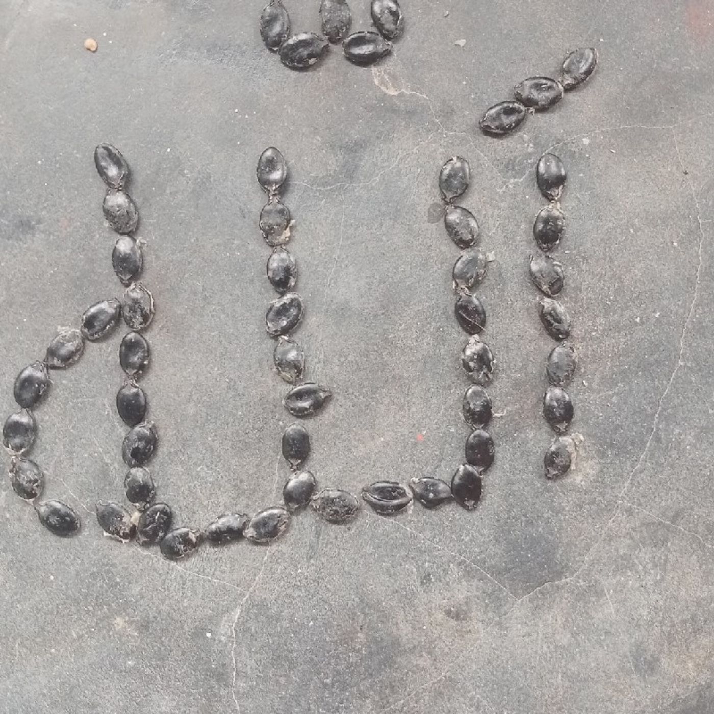 Hussain Ali\'s podcast