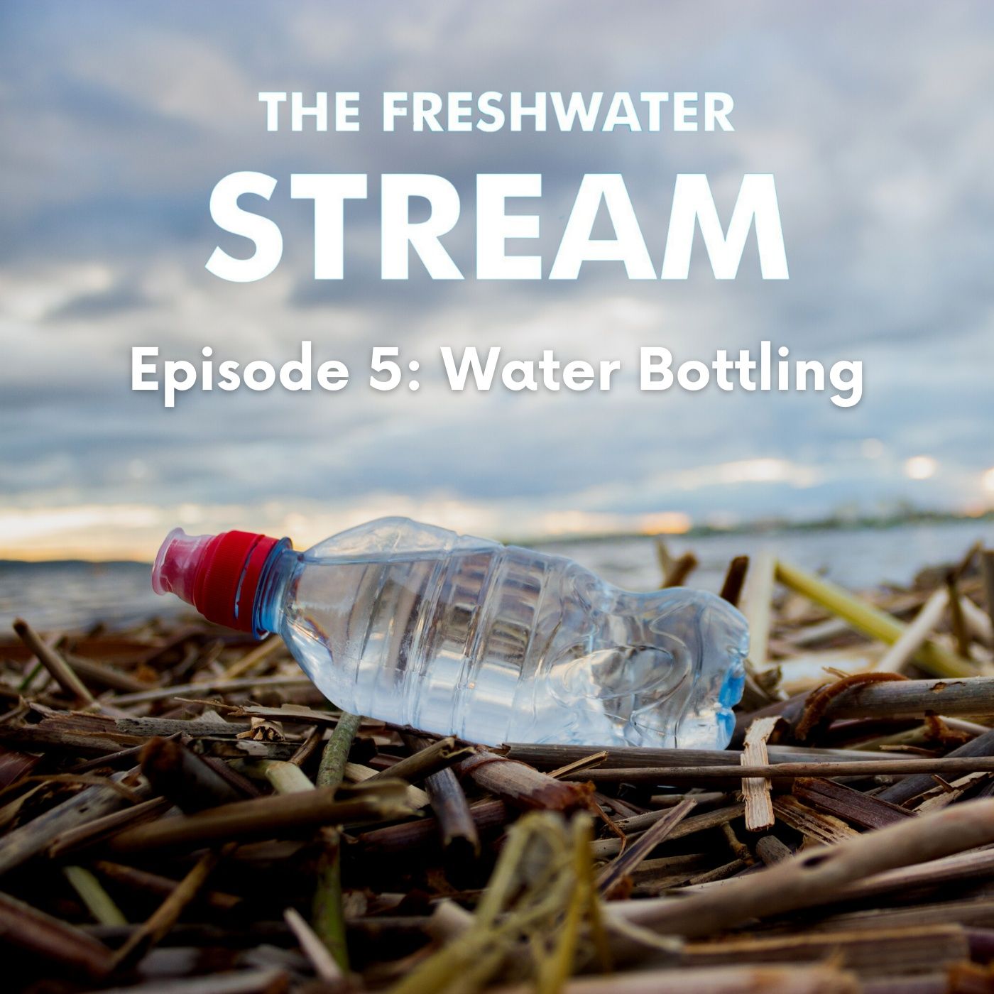 Freshwater Stream