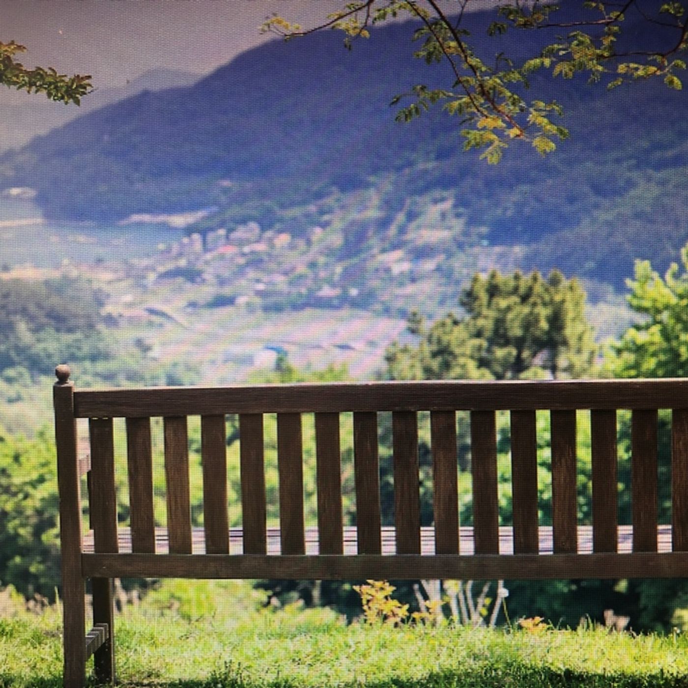 Making Sense Of Life