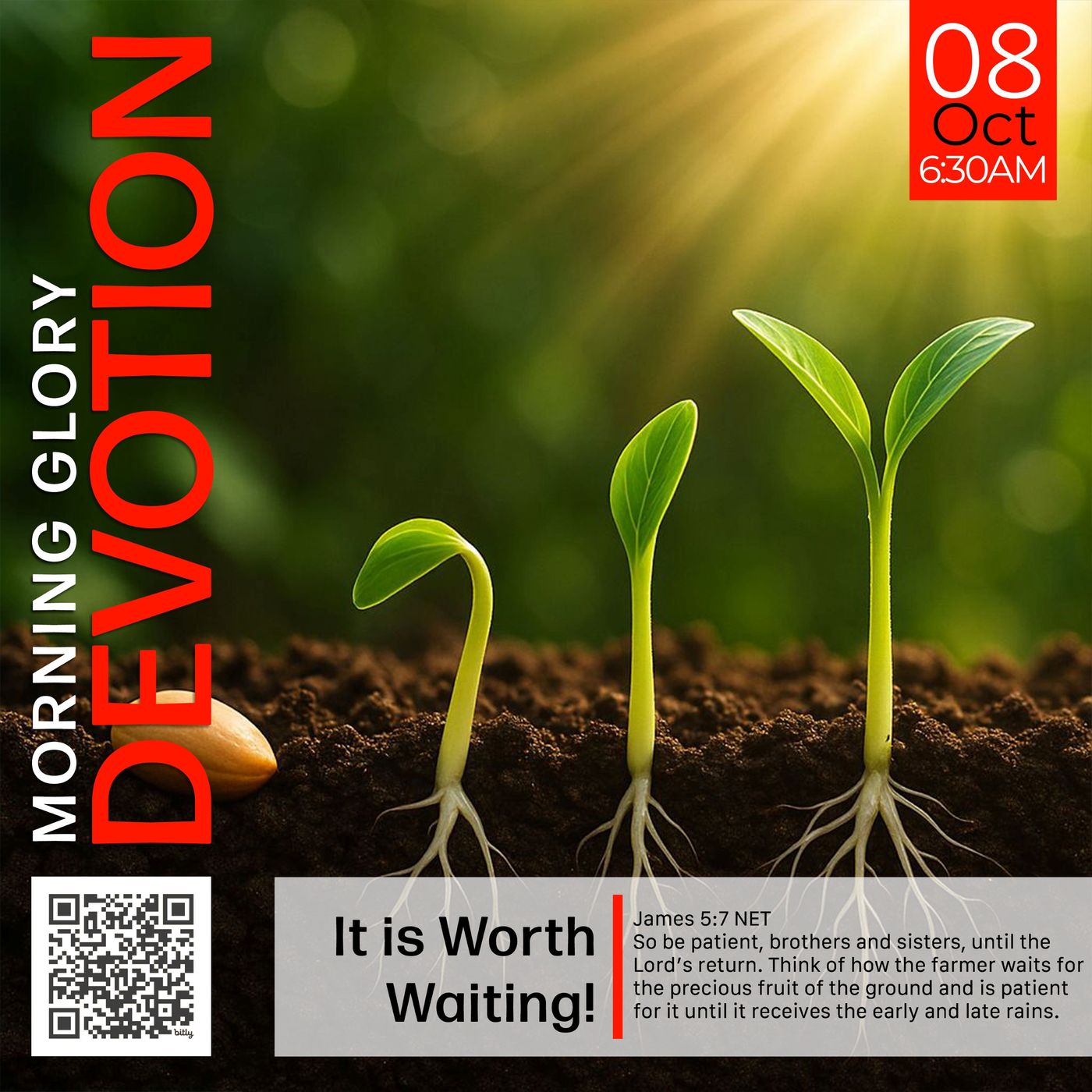MGD:  It’s Worth Waiting!