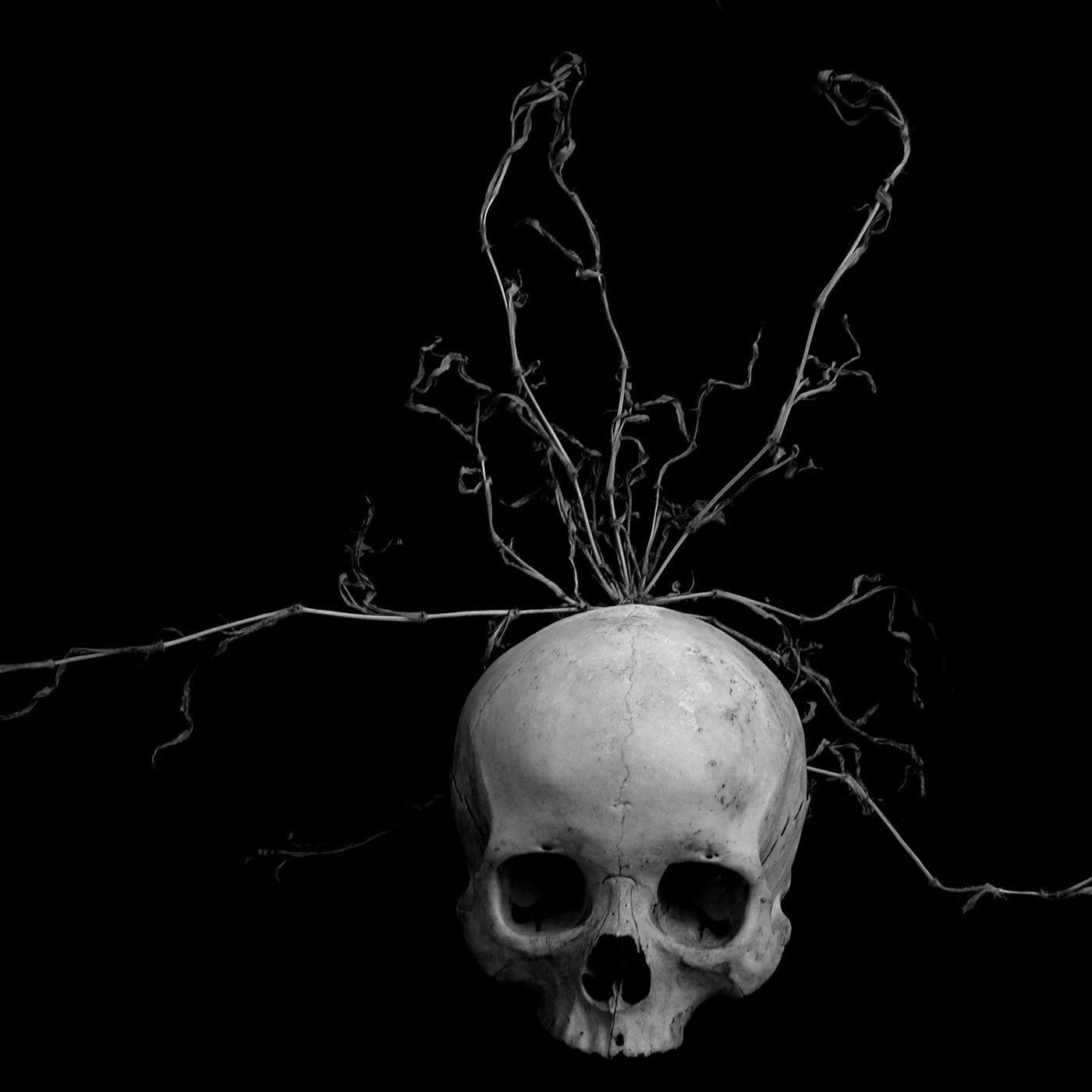 Terror En Los Bordes/Serial Killers Int