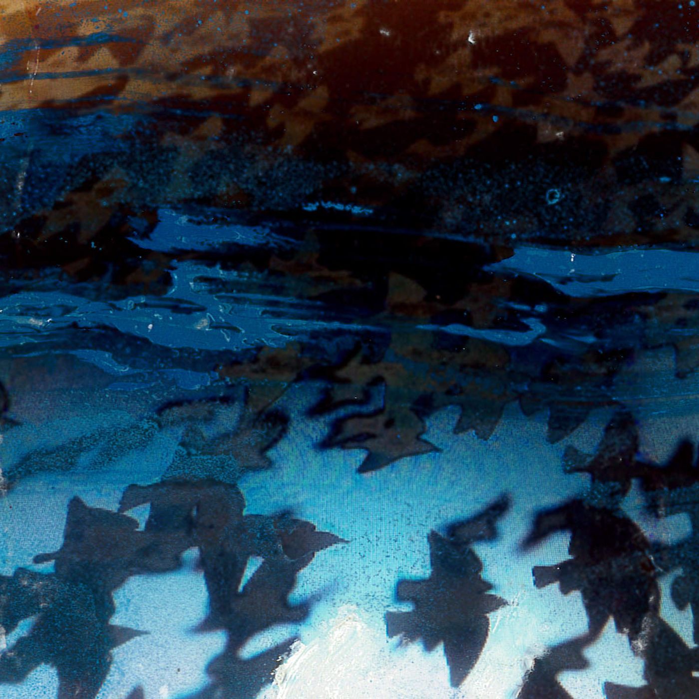 CANTICO Direttore del Muse Michele Lanzinger, saluti introduttivi CANTICO Direttore del Muse Michele Lanzinger, saluti introduttivi