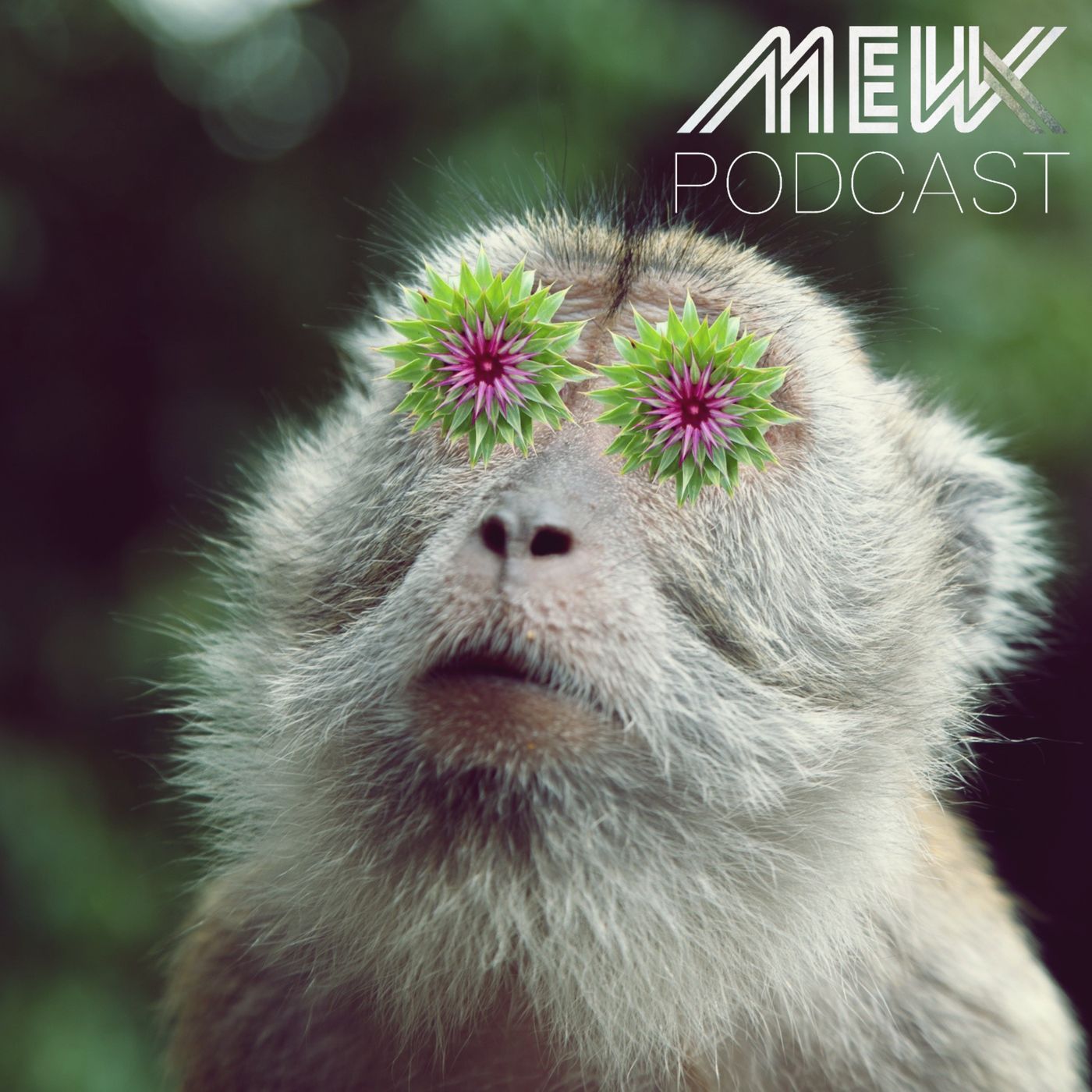 The MewX Podcast