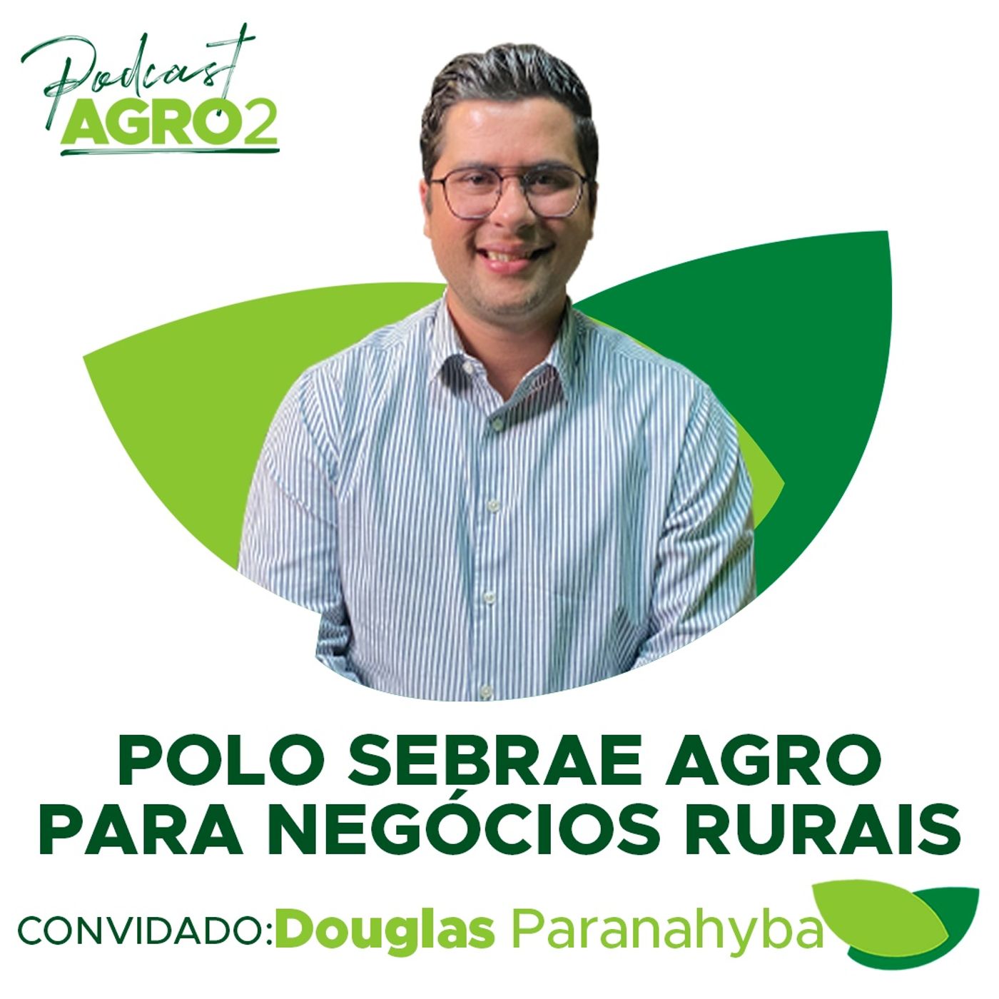 Polo Sebrae Agro: informações sobre negócios rurais para o produtor e o profissional do setor #208 episode artwork