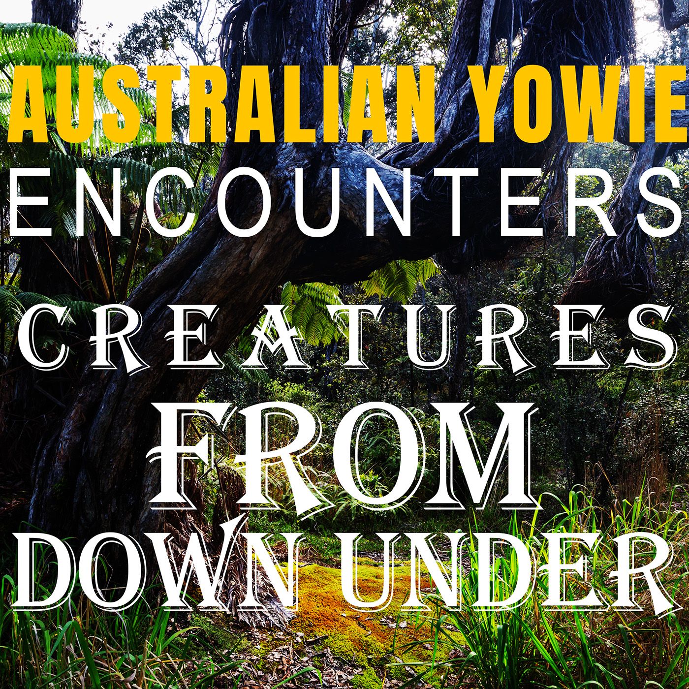 AUSTRALIAN YOWIE ENCOUNTERS FROM QUEENSLAND! | THE CREATURE WAS BIGGER THAN A COW!!!