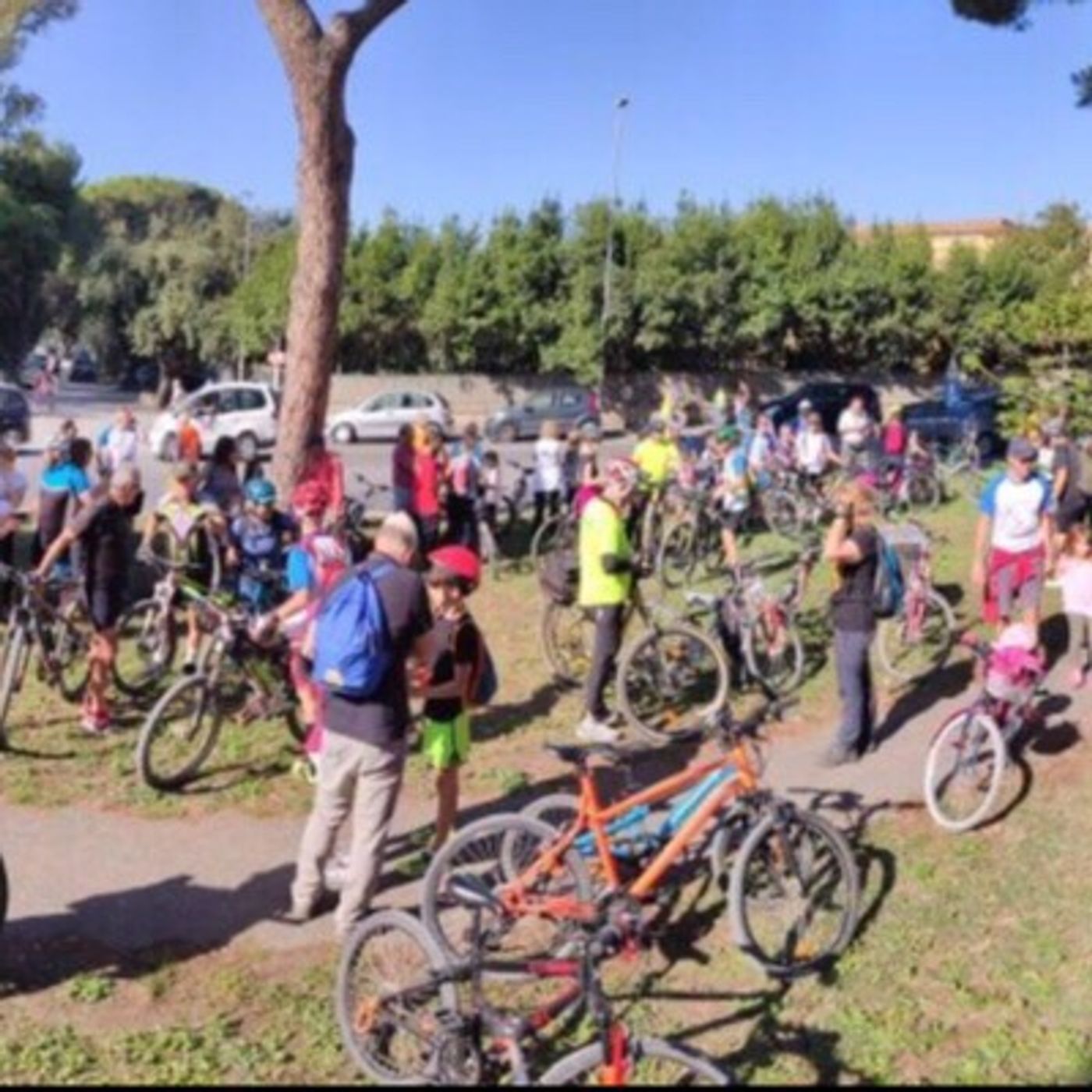 Tevere Day 2019, sul sentiero Pasolini episode artwork