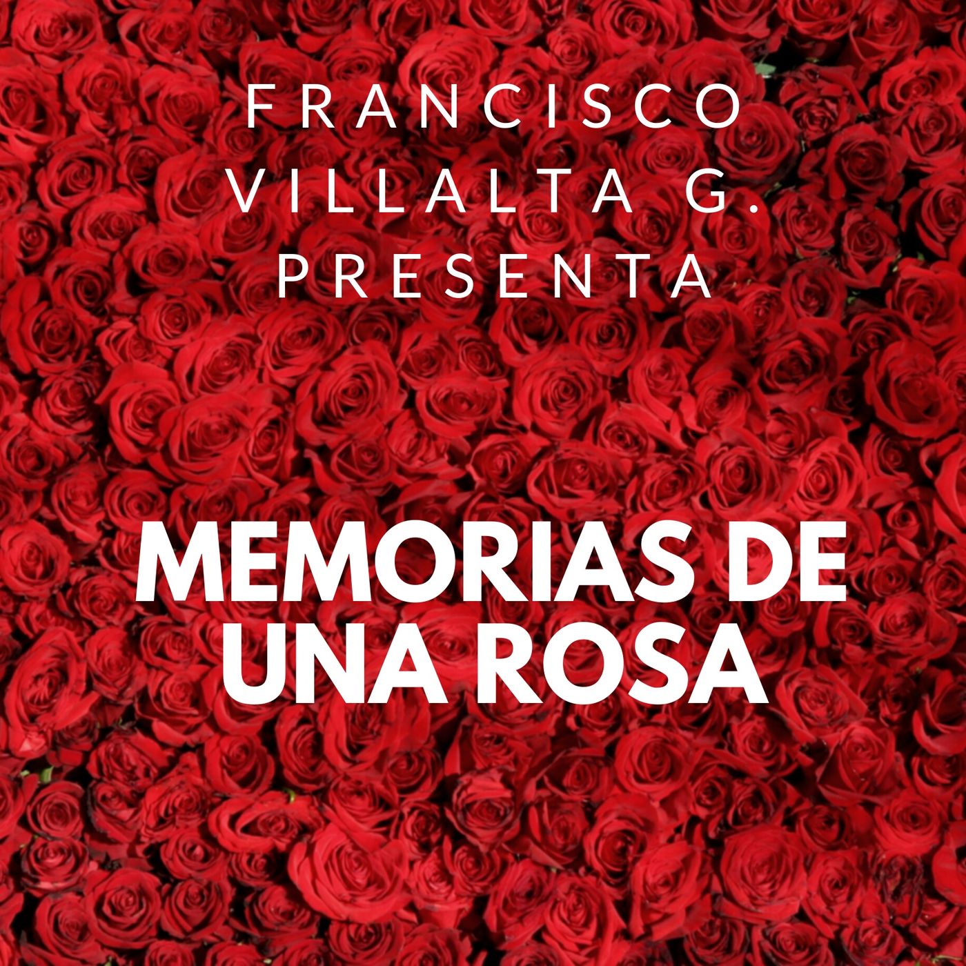 Memorias de una rosa