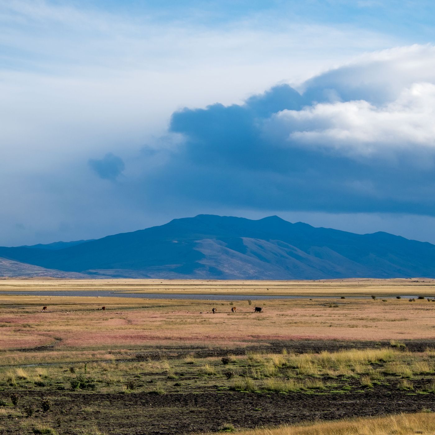 Cómo superar lo que nos distrae