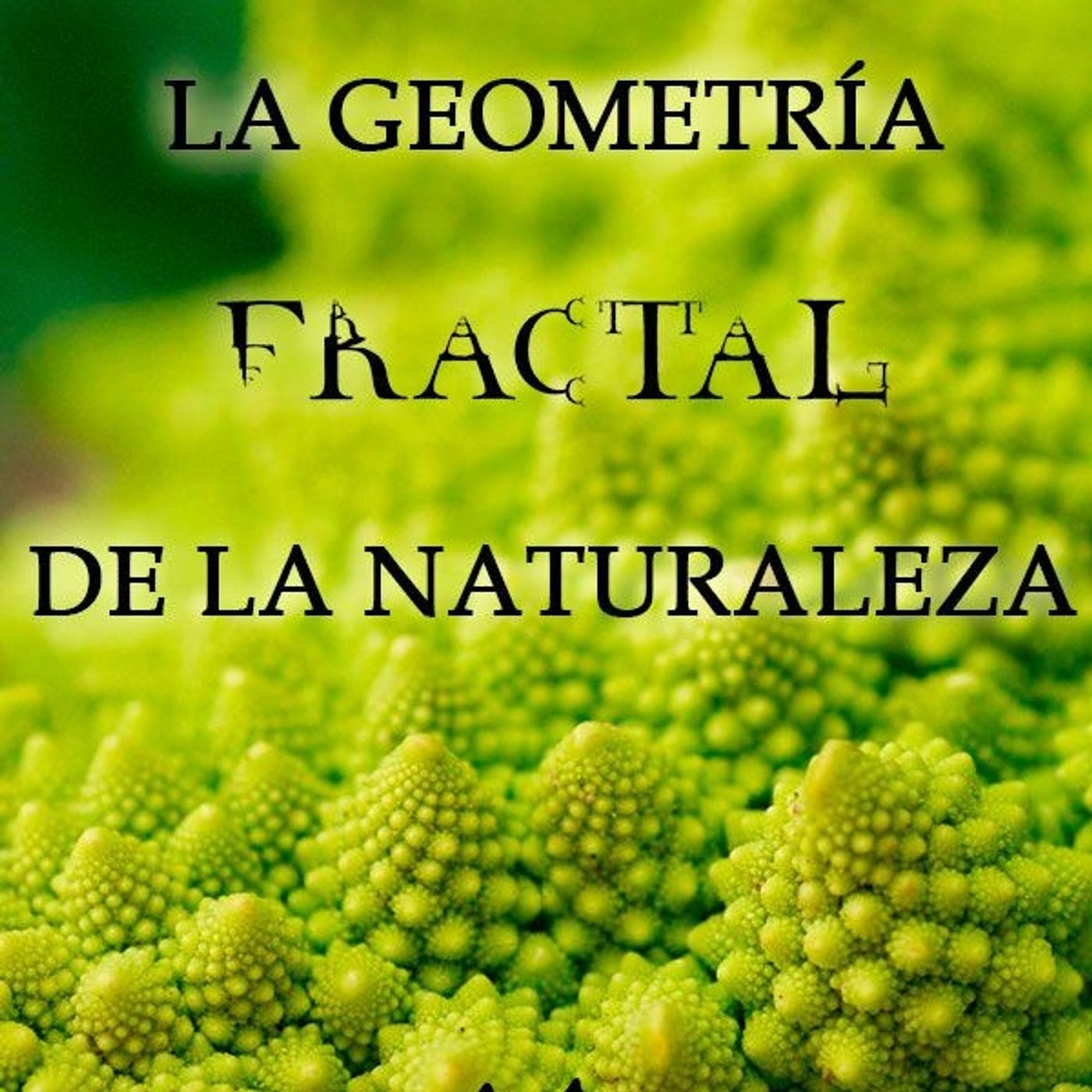 (Resumen) La geometria fractal de la naturaleza - Benoit Mandelbrot