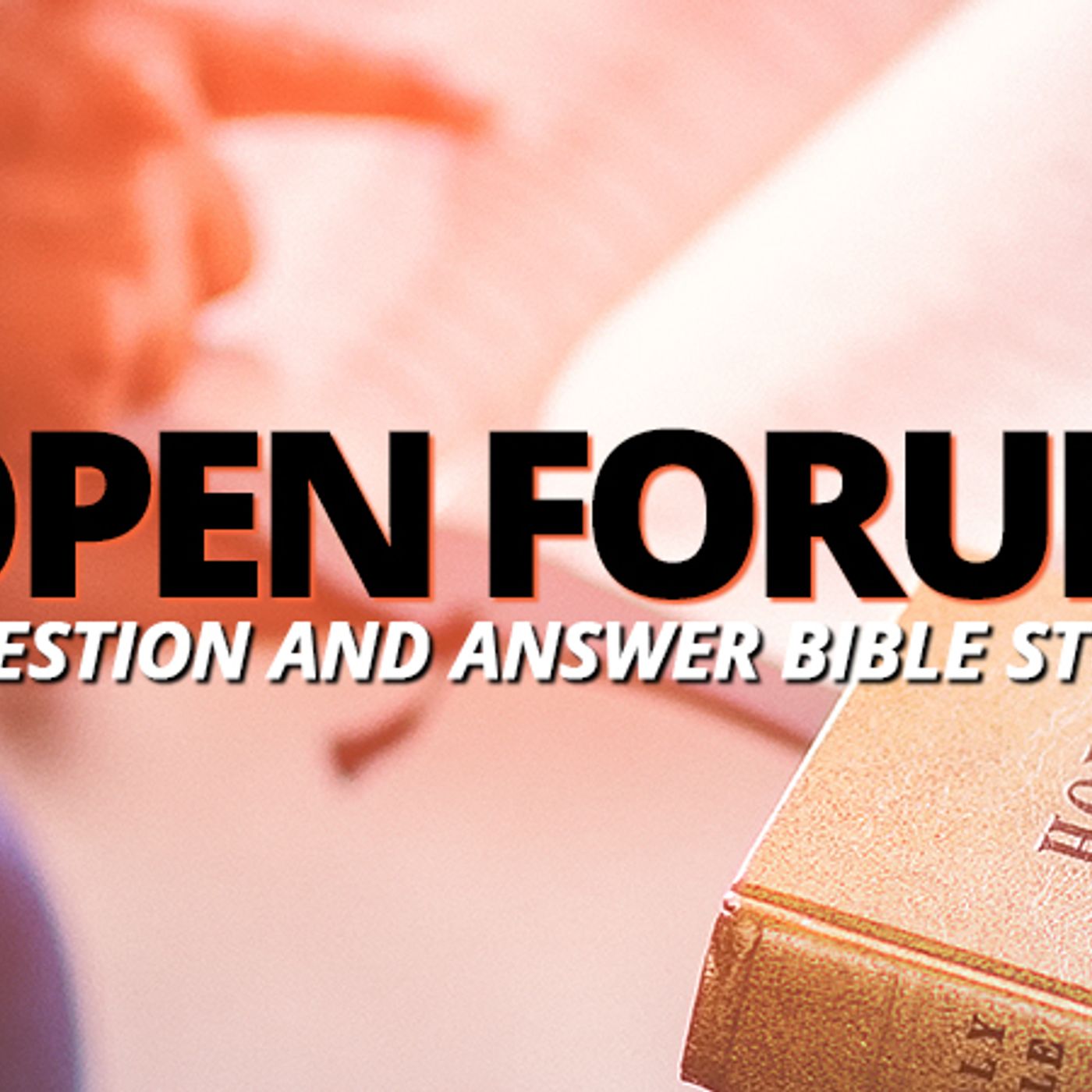NTEB RADIO BIBLE STUDY: How To Handle ‘Bible Bullies’ On This NTEB Open Forum episode artwork