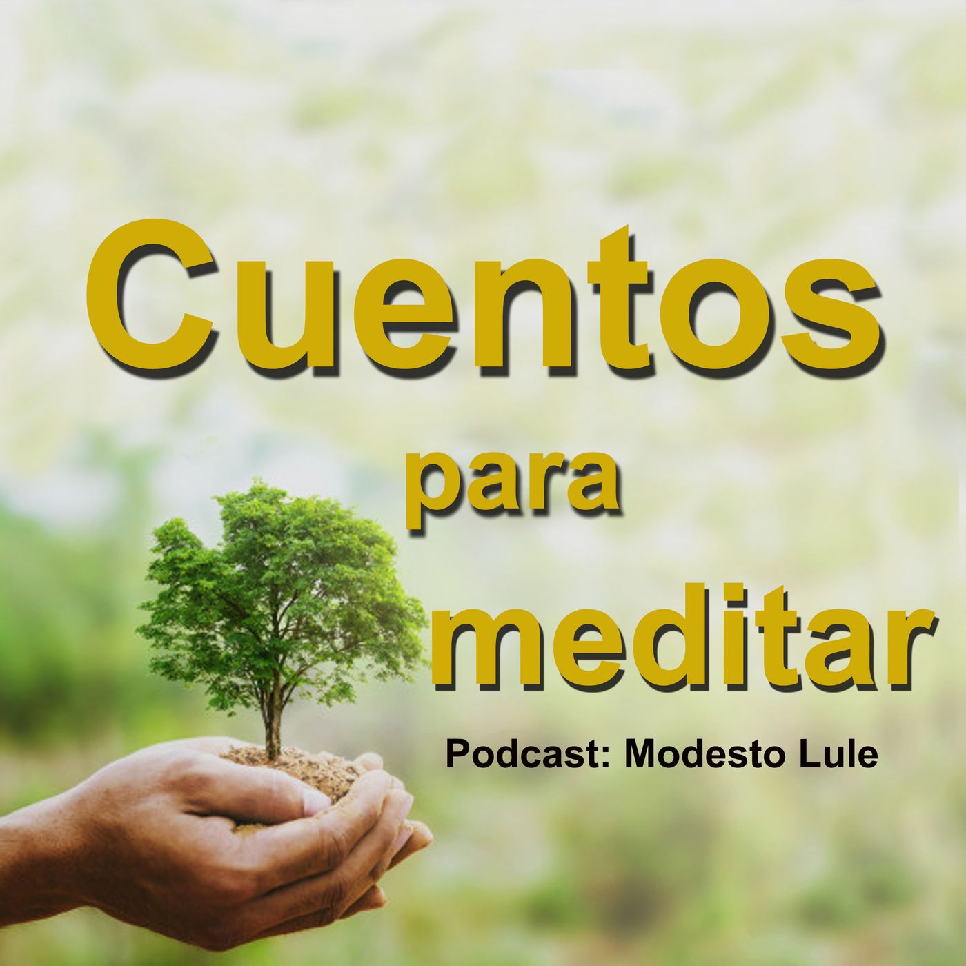 Cuentos para meditar
