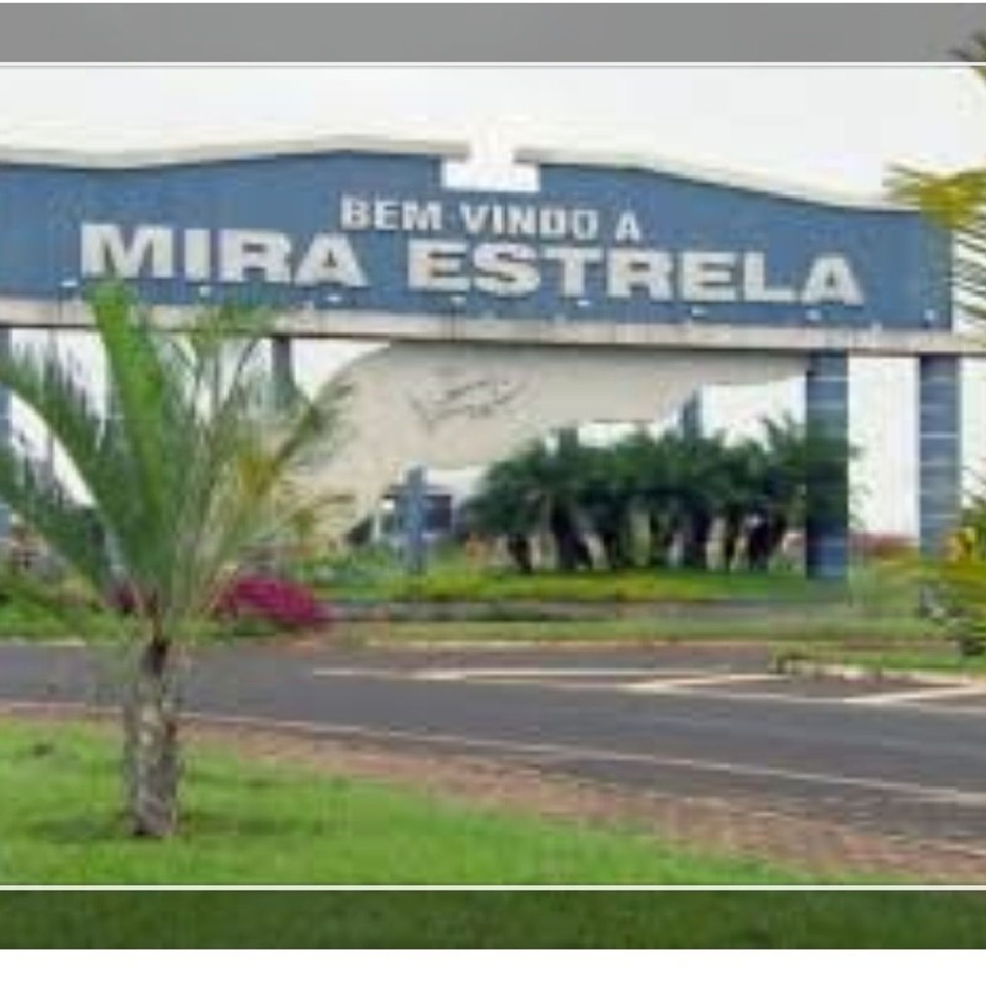 Nosso Direito Constitucional