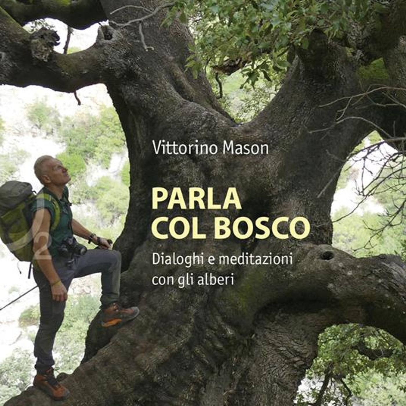 Vittorino Mason "Parla col bosco" episode artwork