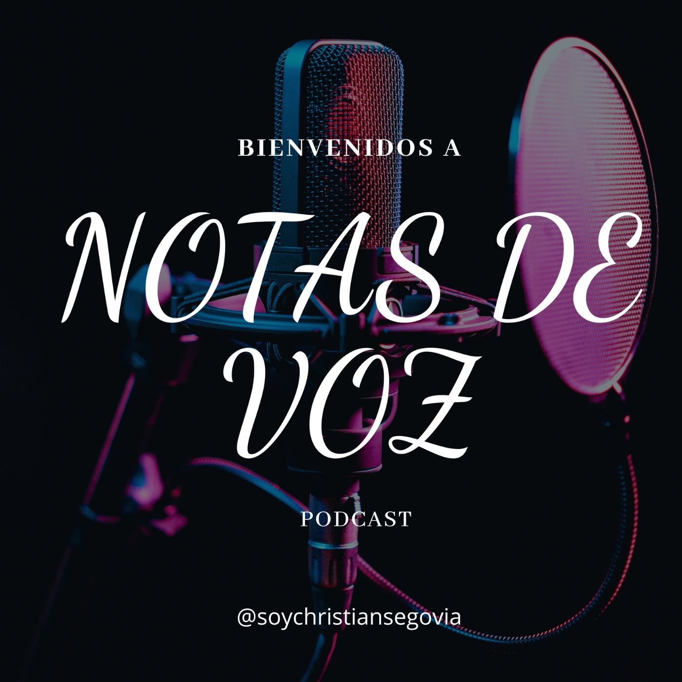 NOTAS DE VOZ PODCAST