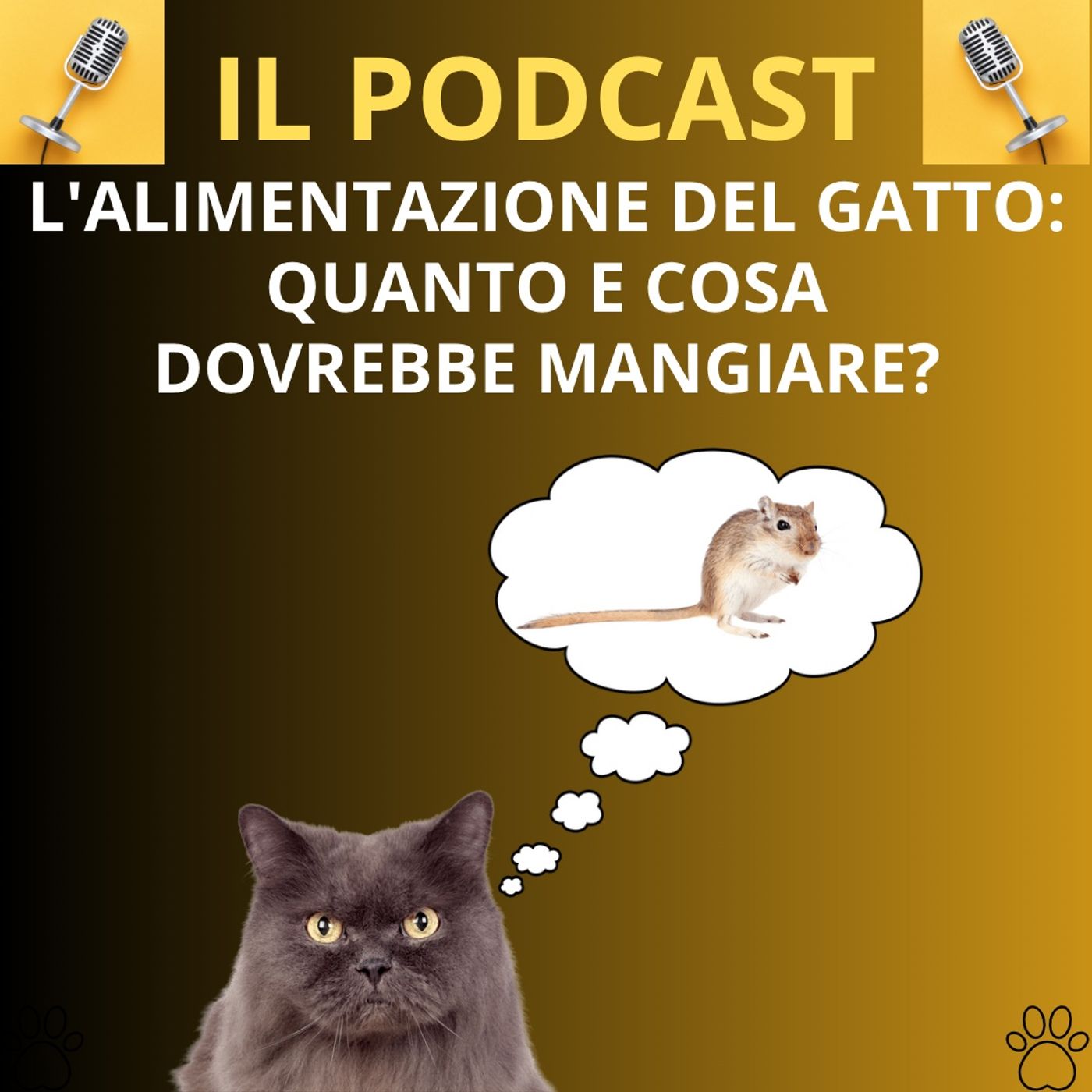 Cane&gatto: le domande più frequenti