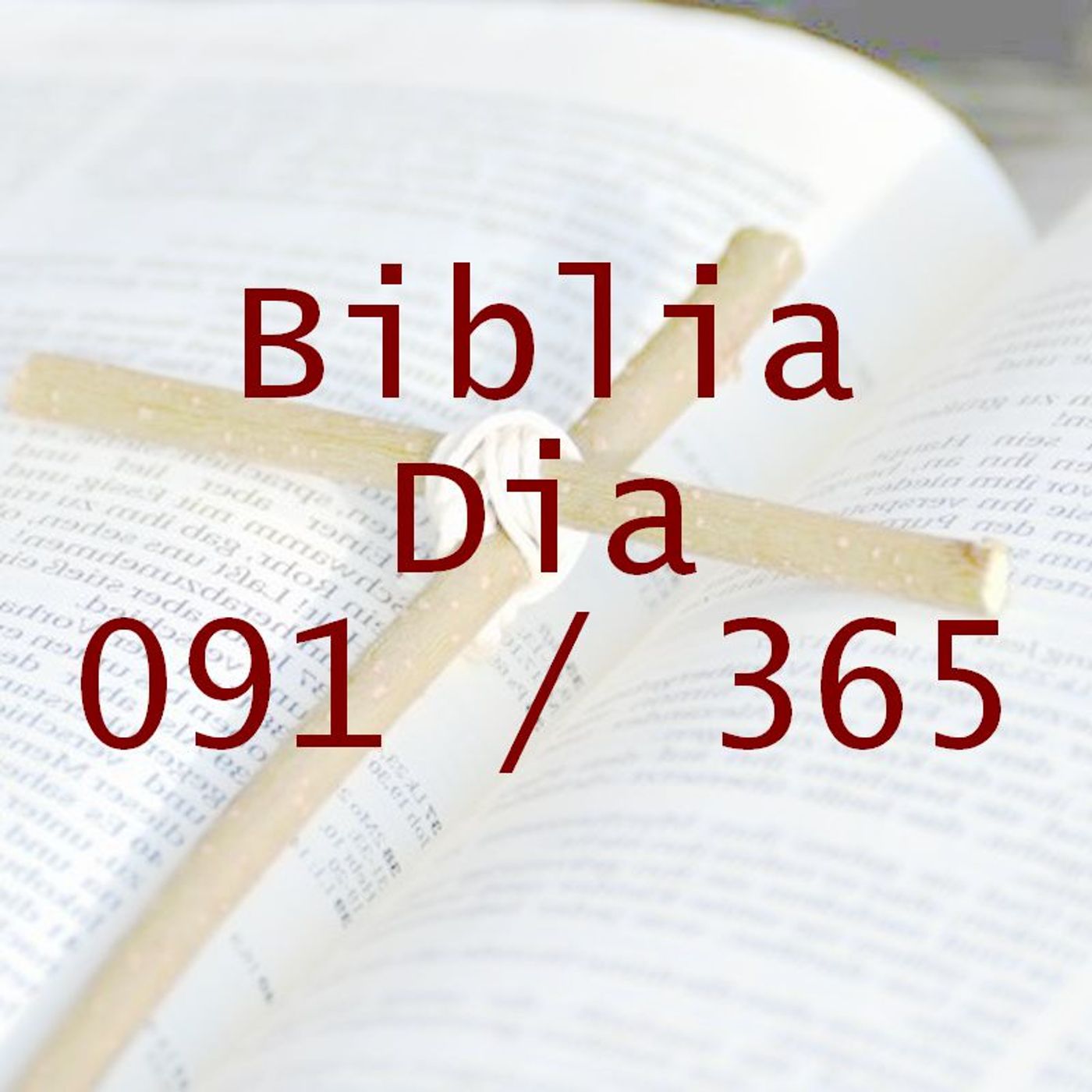 La Biblia en 365 dias