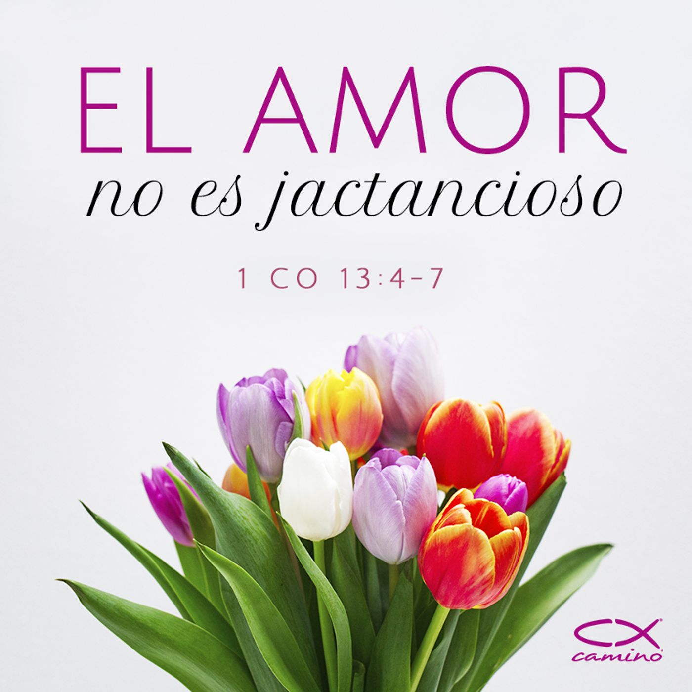 Oración 6 de marzo (El amor no es jactancioso) episode artwork