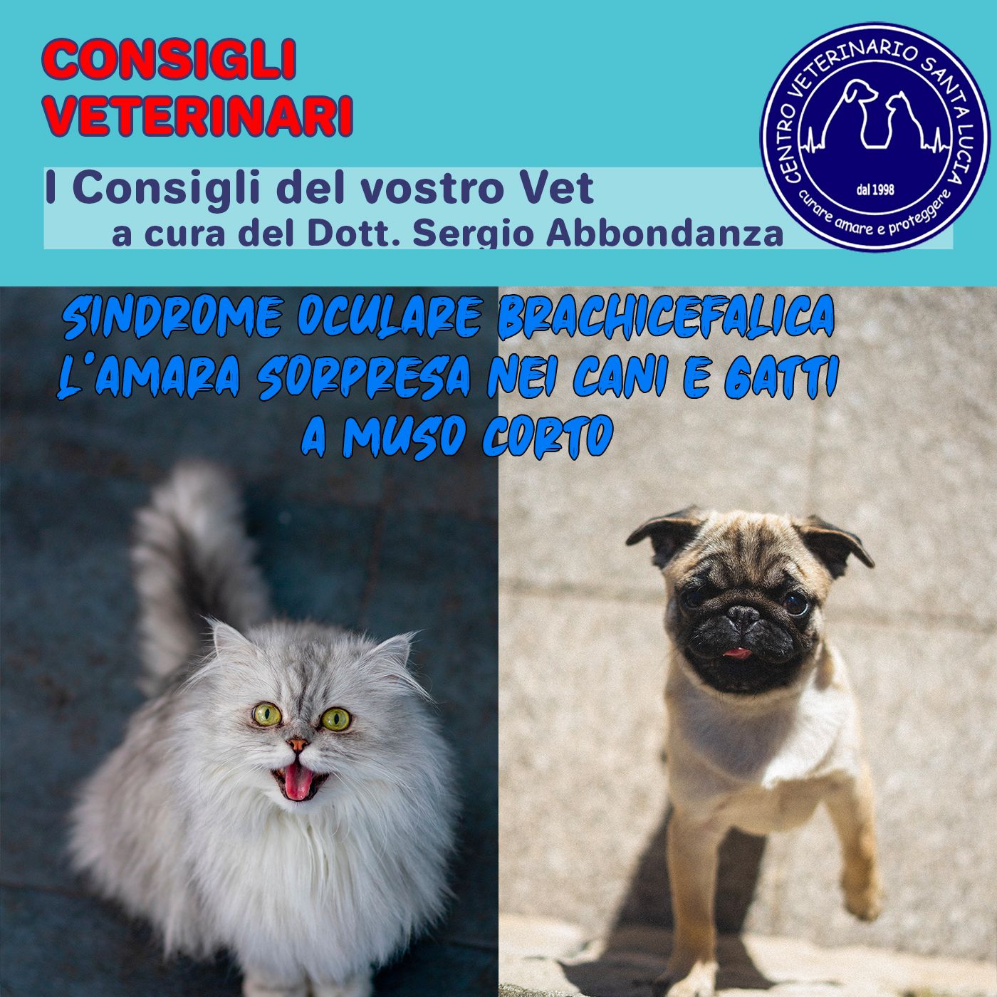 Consigli Veterinari