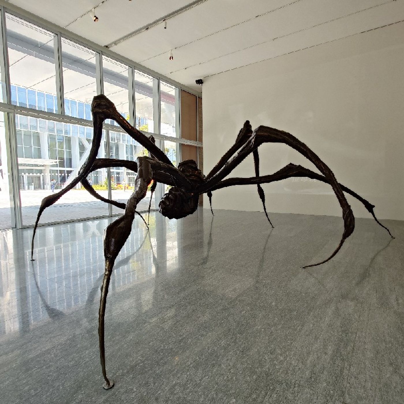 Ep318 - Diane's Tarot Diary: 我的塔羅日記 名人塔羅人格牌 路易絲•布爾喬亞-2