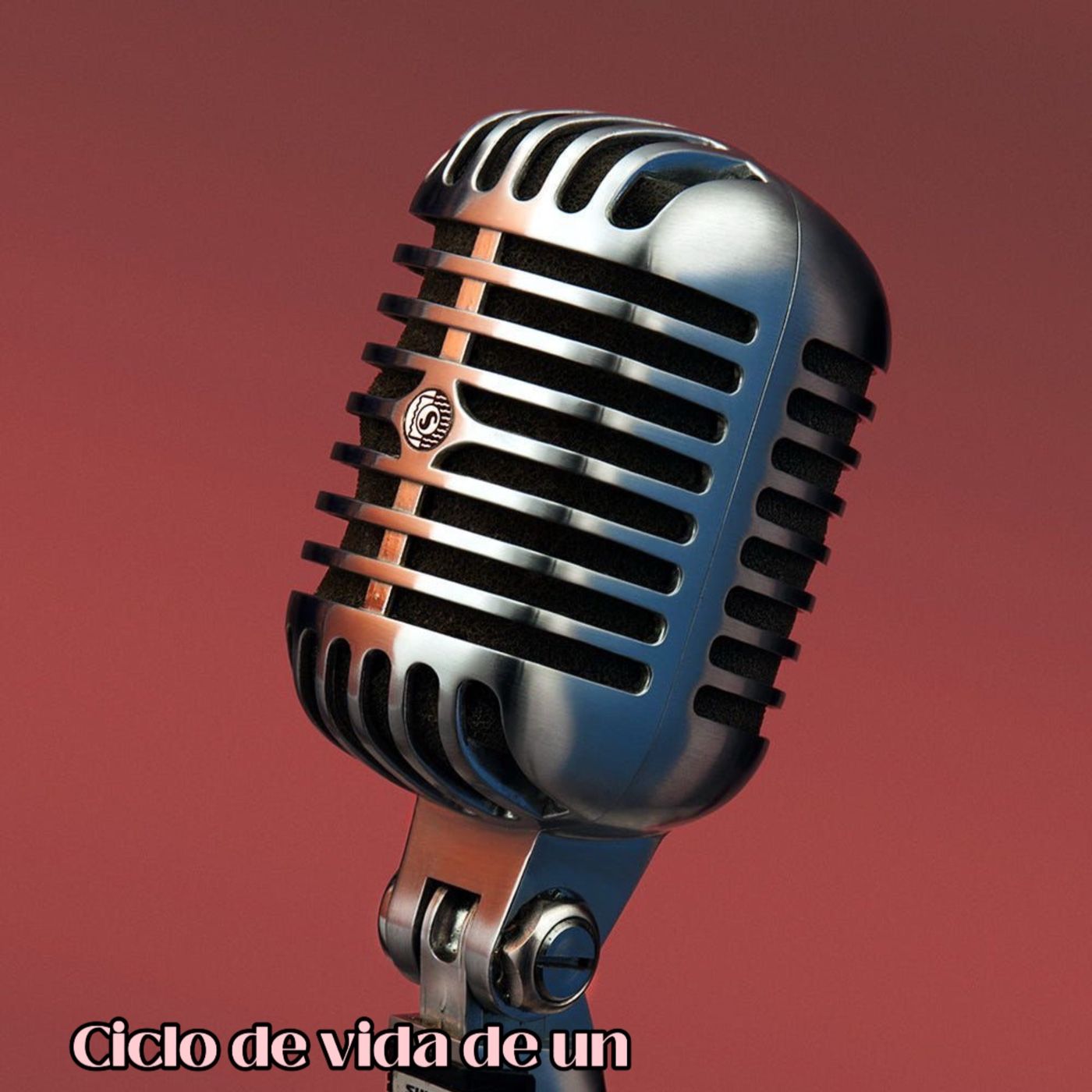 Ciclo de vida de un producto