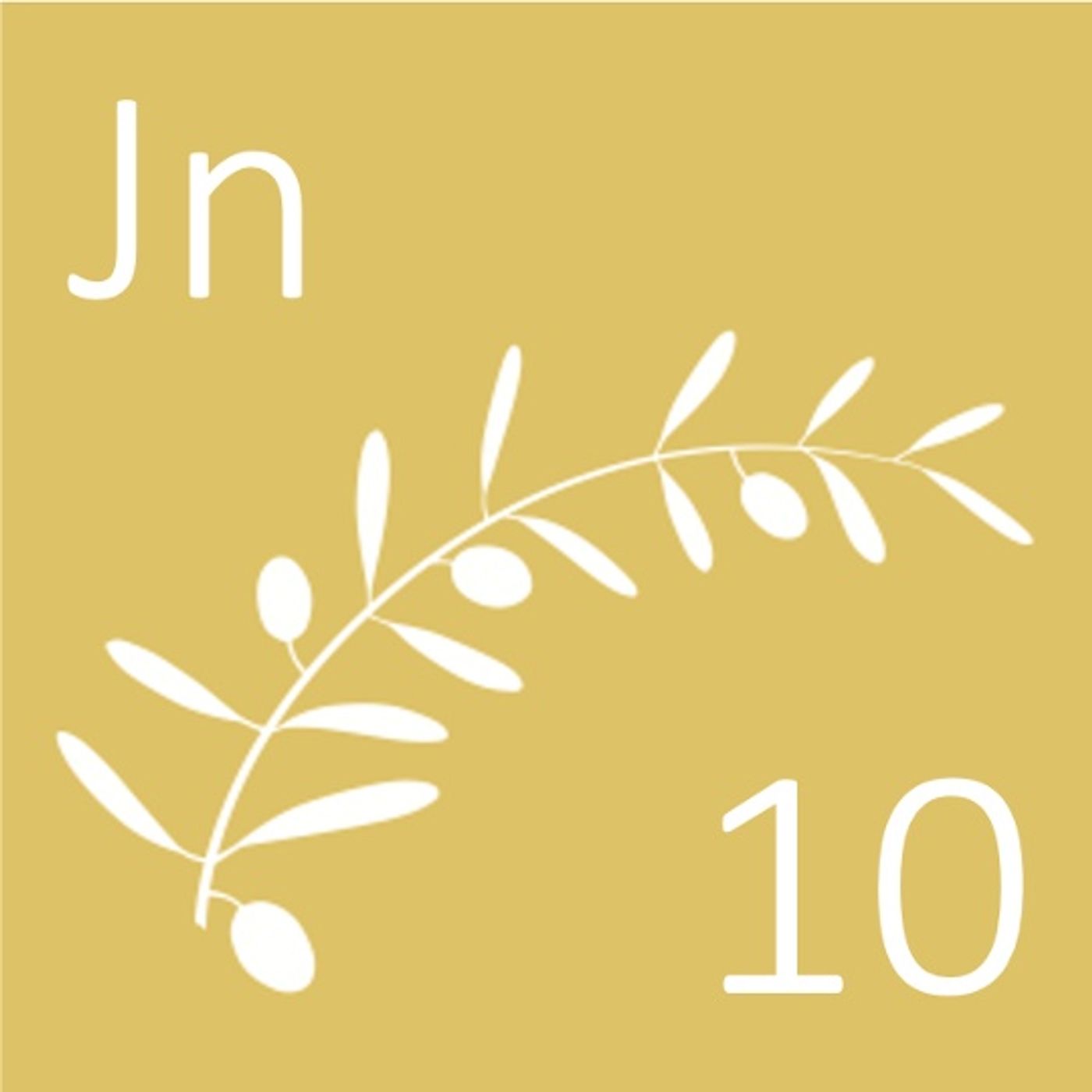 John chapter 21 verses 15-19 Peter is reinstated (10-minutes)