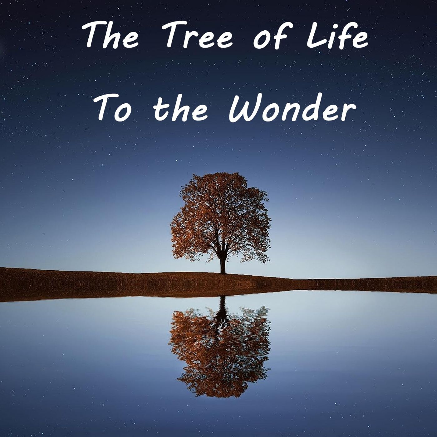 Film Review: The Tree of Life (USA 2011) and To the Wonder (USA 2012) by Terrence Malick episode artwork