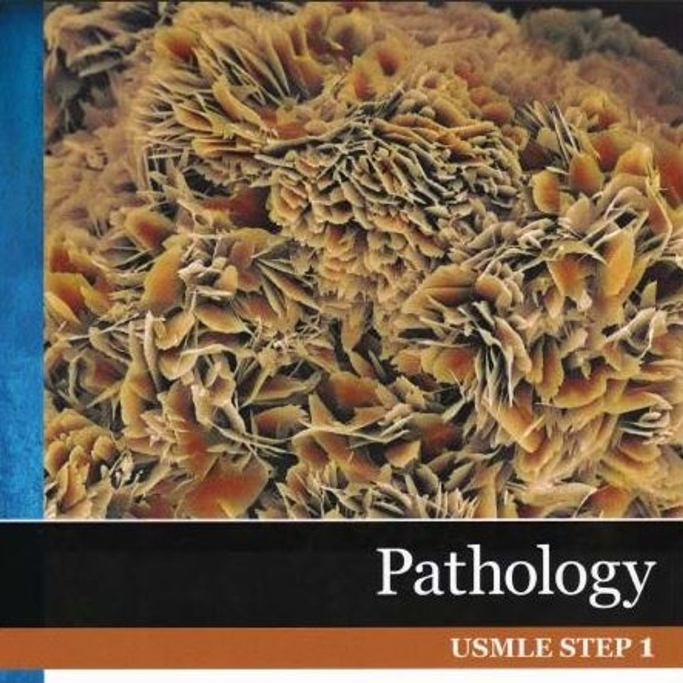 Pathology: Basic Pathology, Systemic Pathology