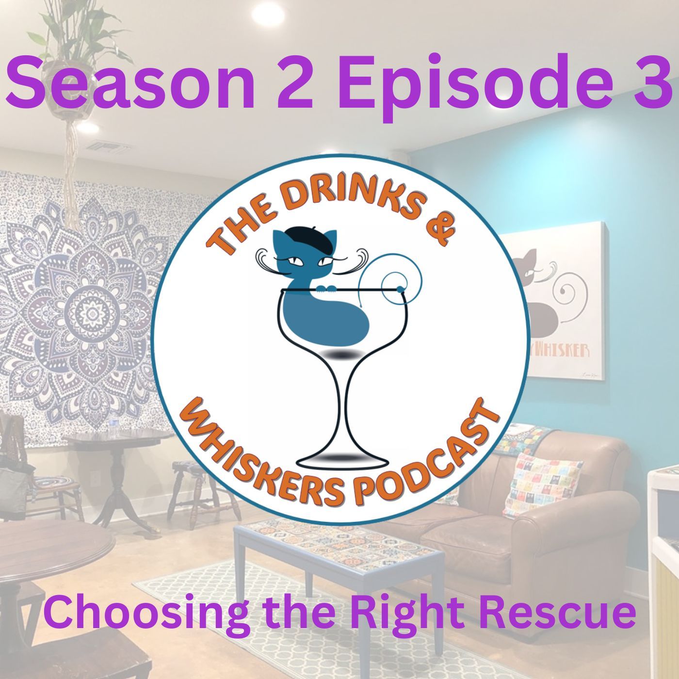The Drinks & Whiskers Podcast