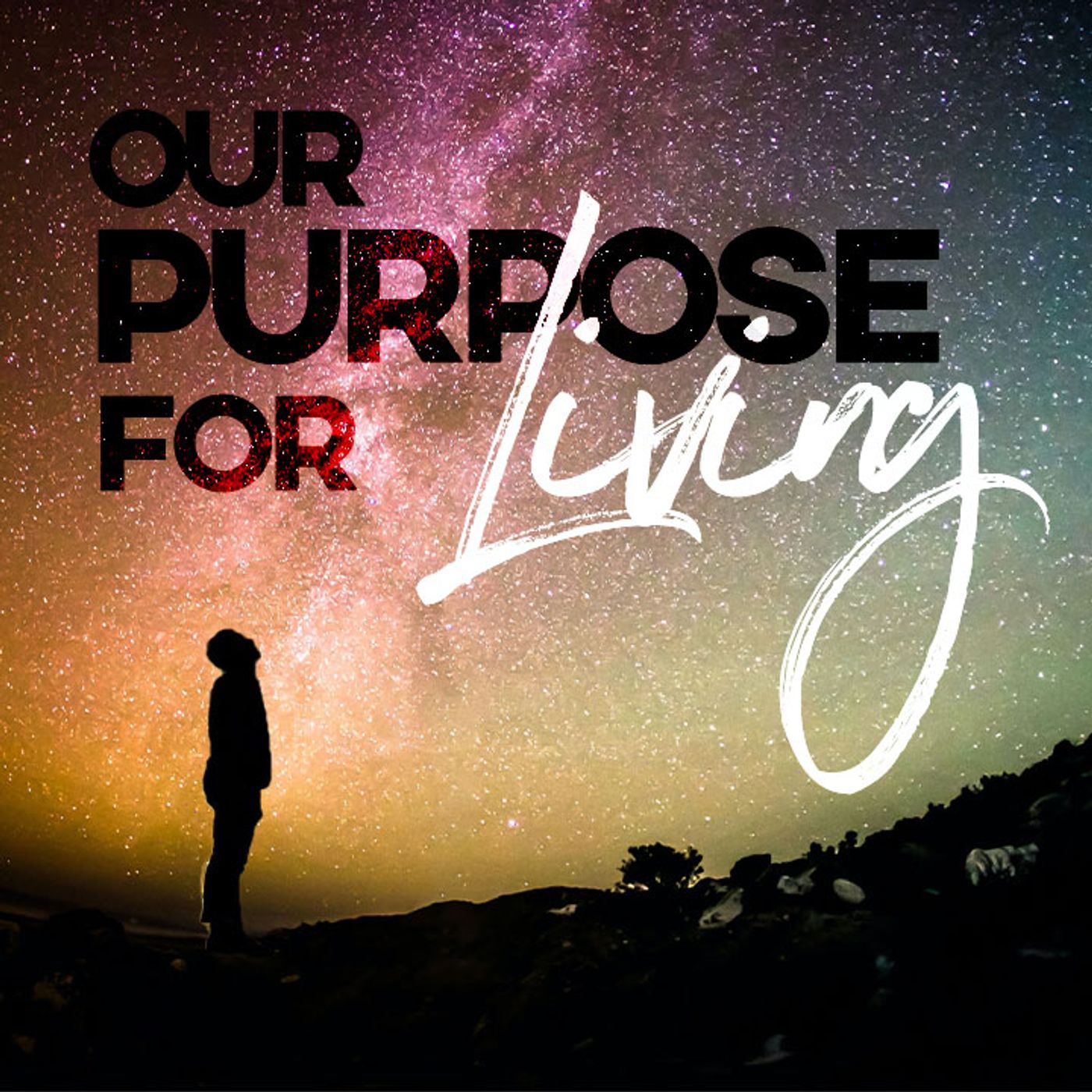 Our Purpose For Living - Why In The World Do We Exist? episode artwork