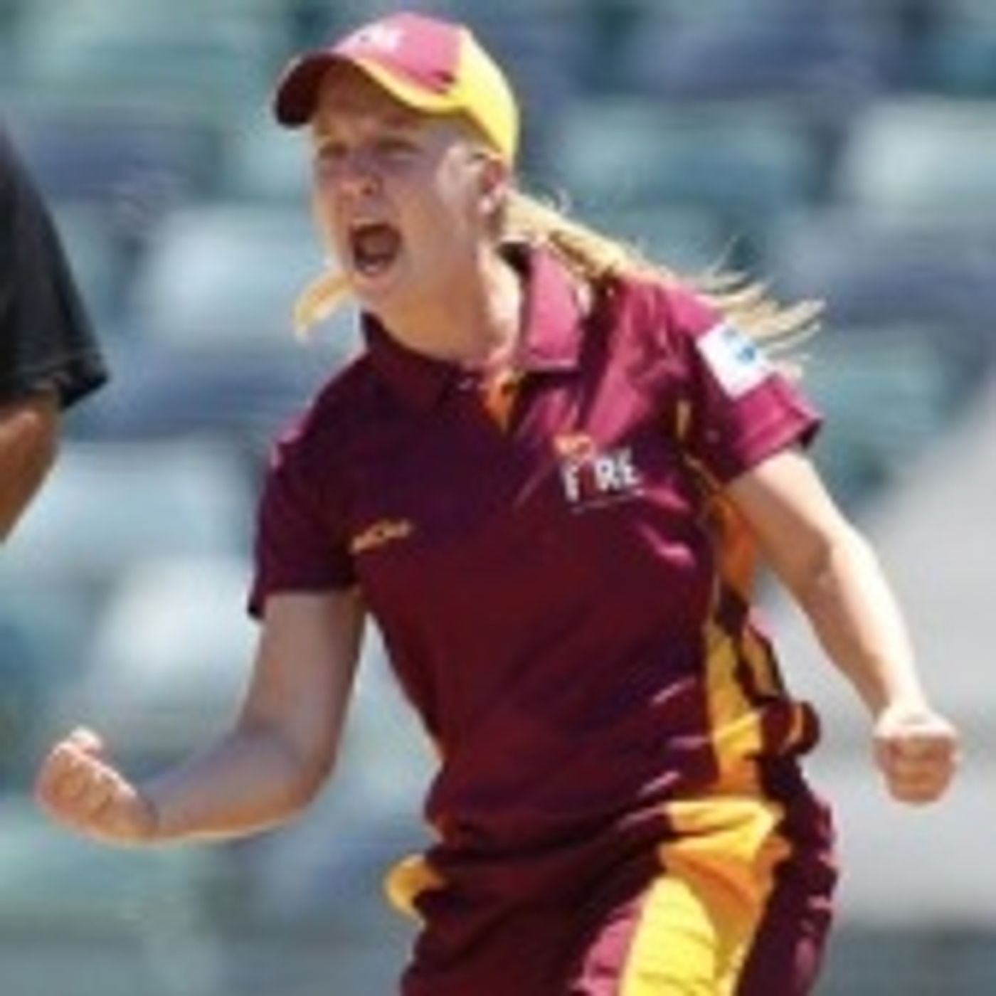 Down The Wicket