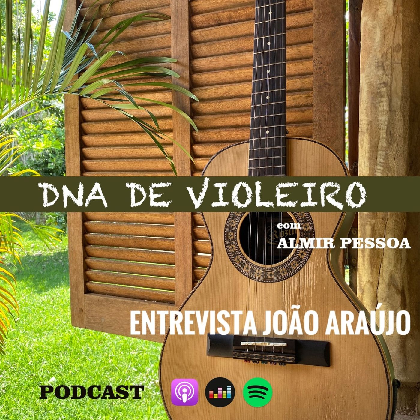 Dna de Violeiro