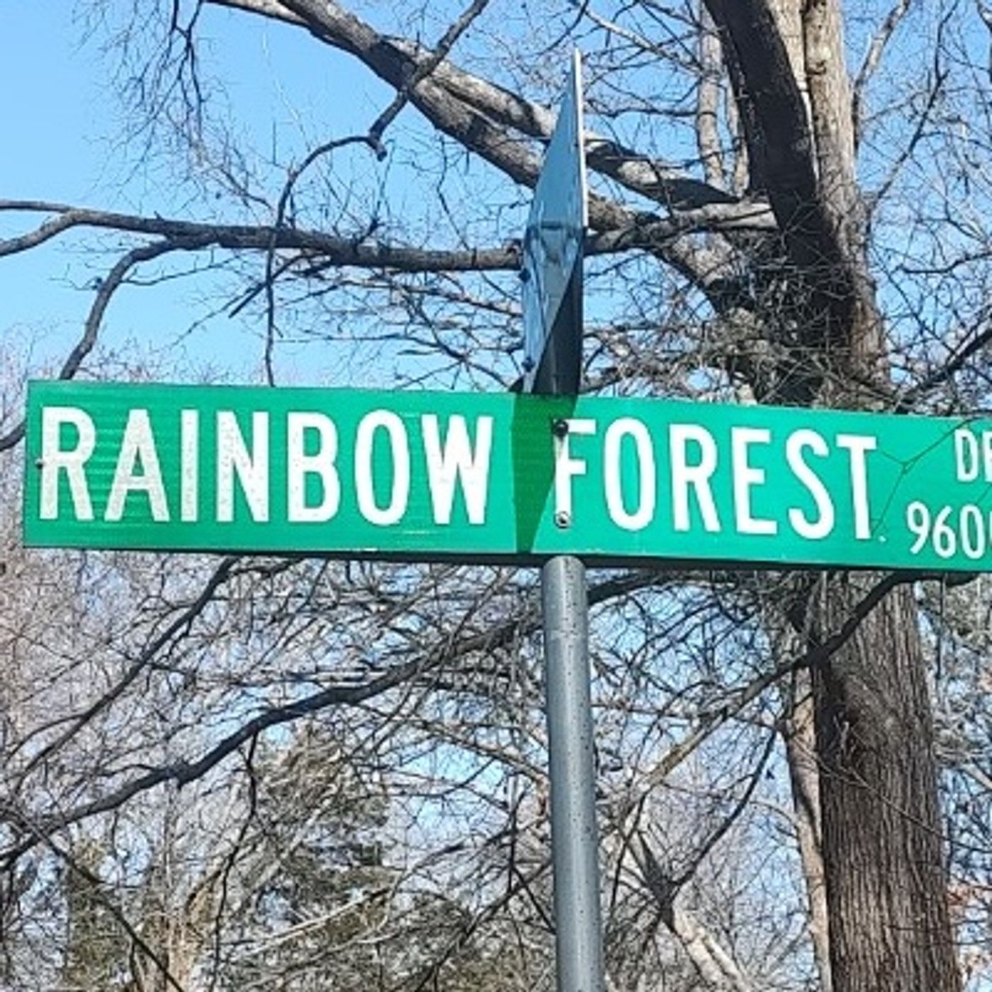 The Lyrics From Rainbow Forest Chapter 392 Peace By Way Of The Eclipse