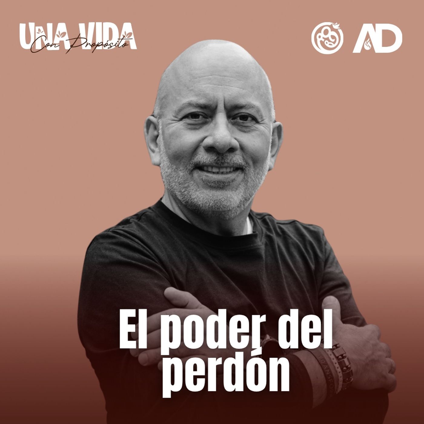 DIA 20 - El poder del perdón episode artwork