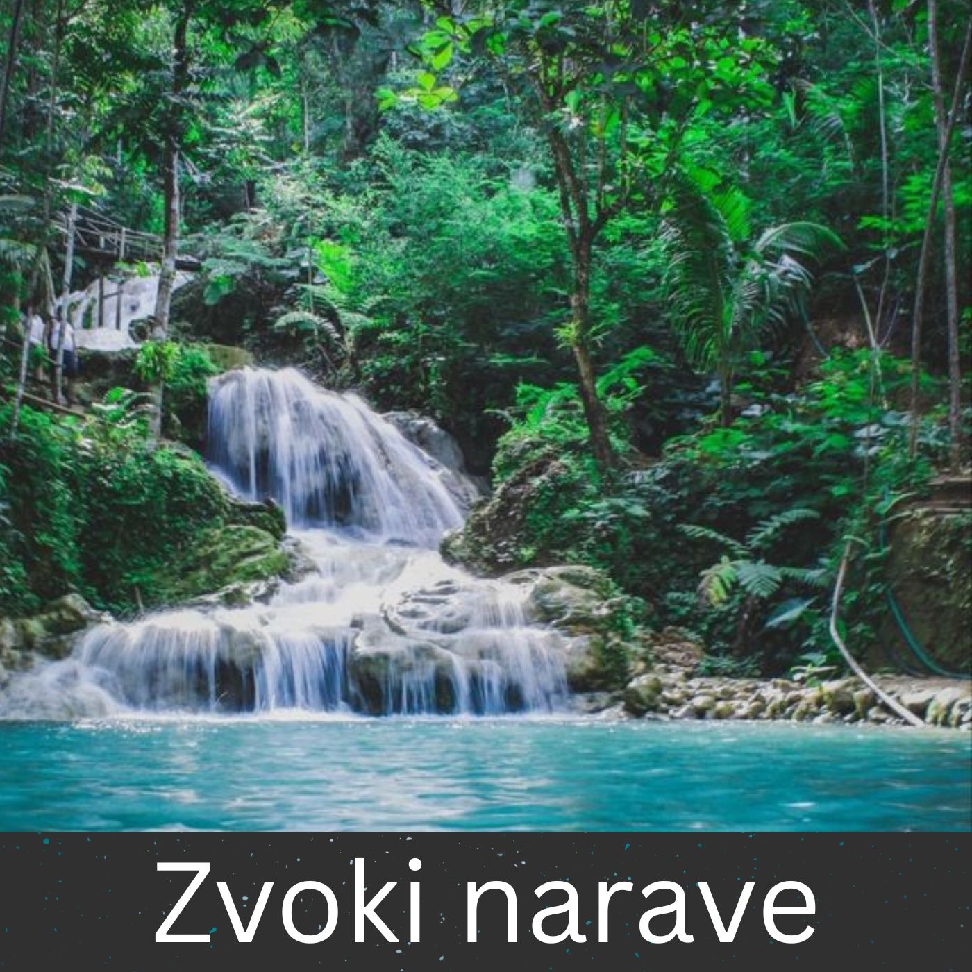 Zvoki narave