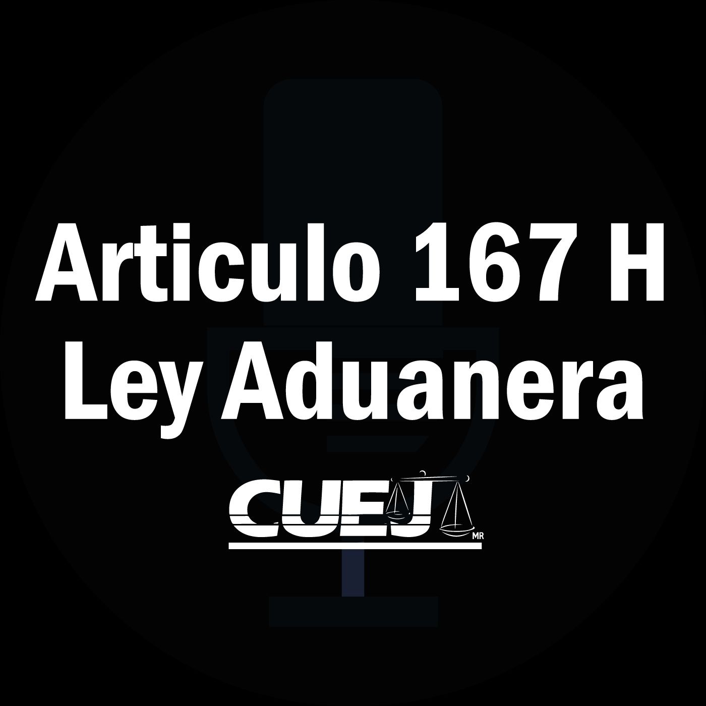 Audio Ley Aduanera